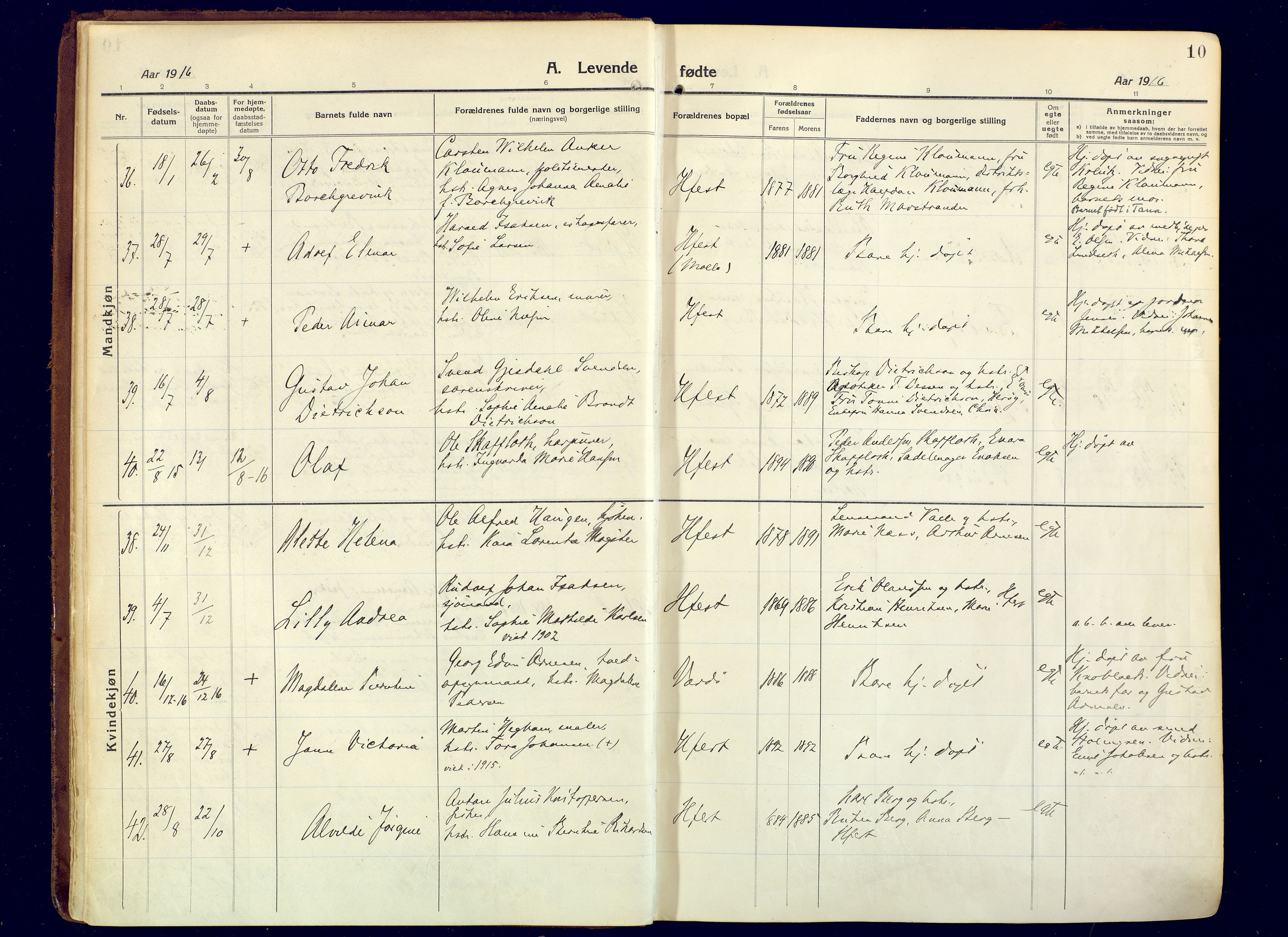 Hammerfest sokneprestkontor, AV/SATØ-S-1347/H/Ha/L0015.kirke: Parish register (official) no. 15, 1916-1923, p. 10