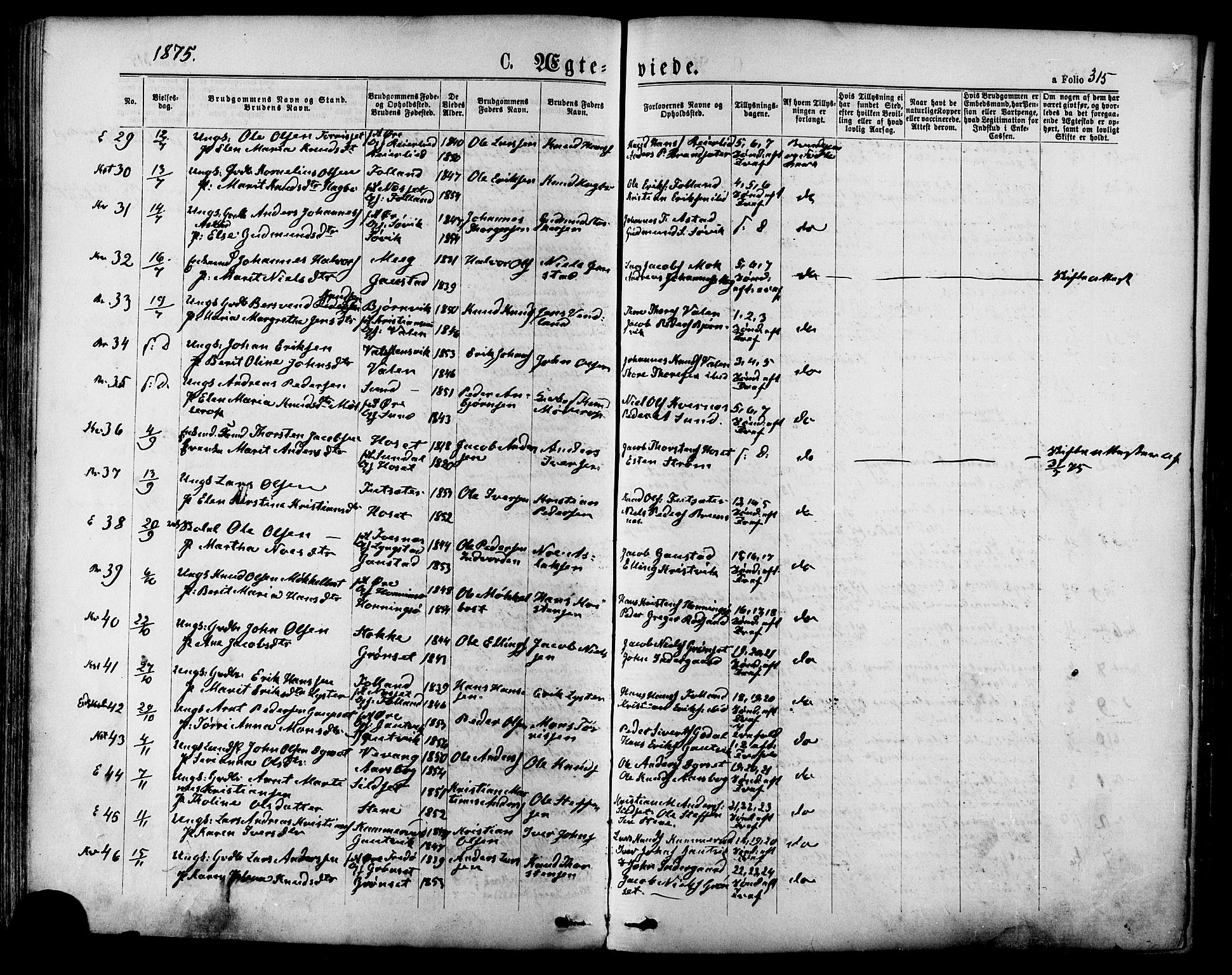 Ministerialprotokoller, klokkerbøker og fødselsregistre - Møre og Romsdal, SAT/A-1454/568/L0805: Parish register (official) no. 568A12 /1, 1869-1884, p. 315
