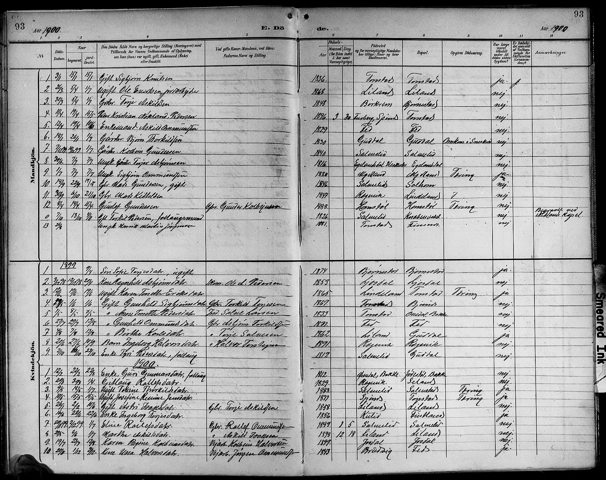 Sirdal sokneprestkontor, AV/SAK-1111-0036/F/Fb/Fbb/L0004: Parish register (copy) no. B 4, 1895-1916, p. 93