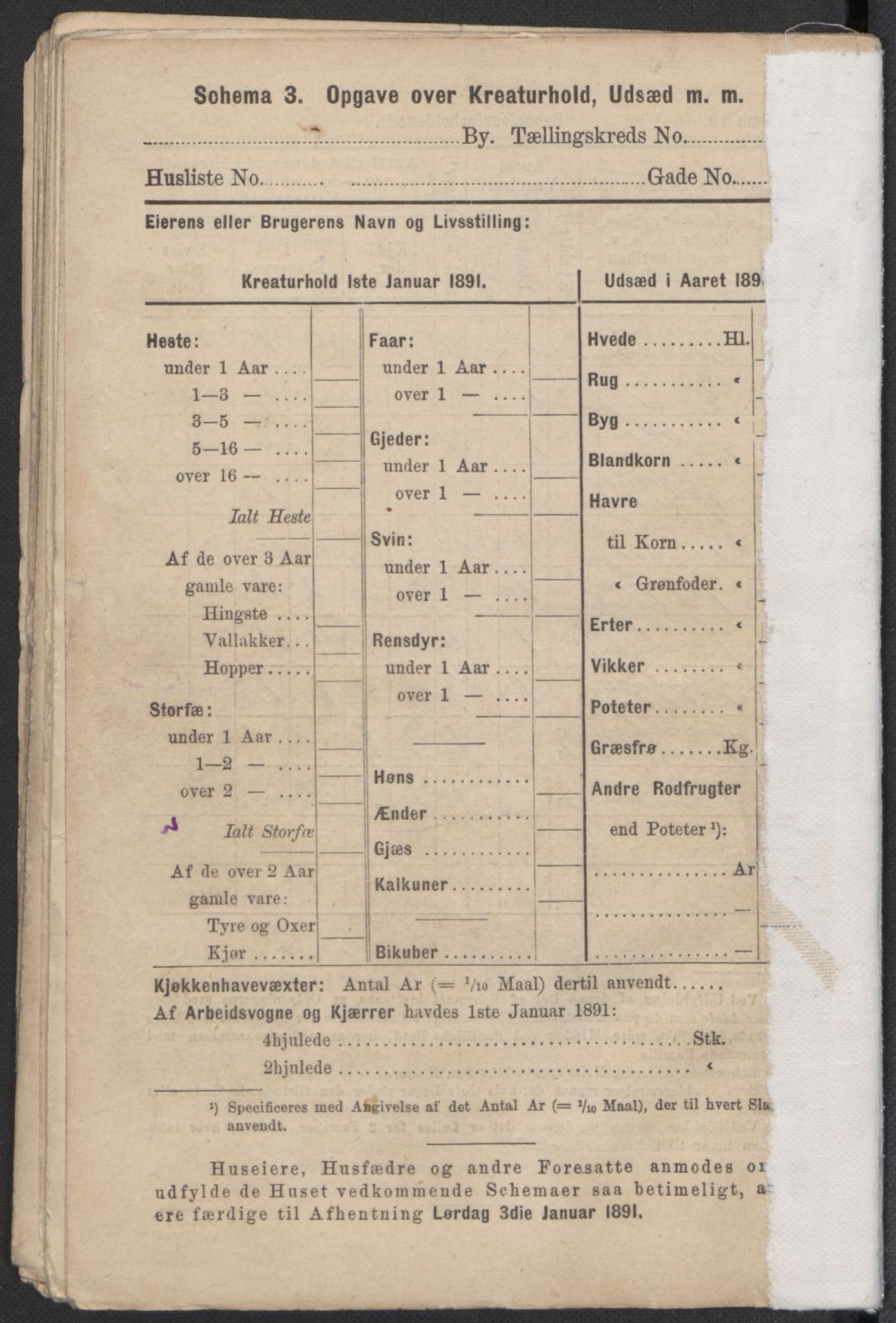 RA, 1891 Census for 1301 Bergen, 1891, p. 7492