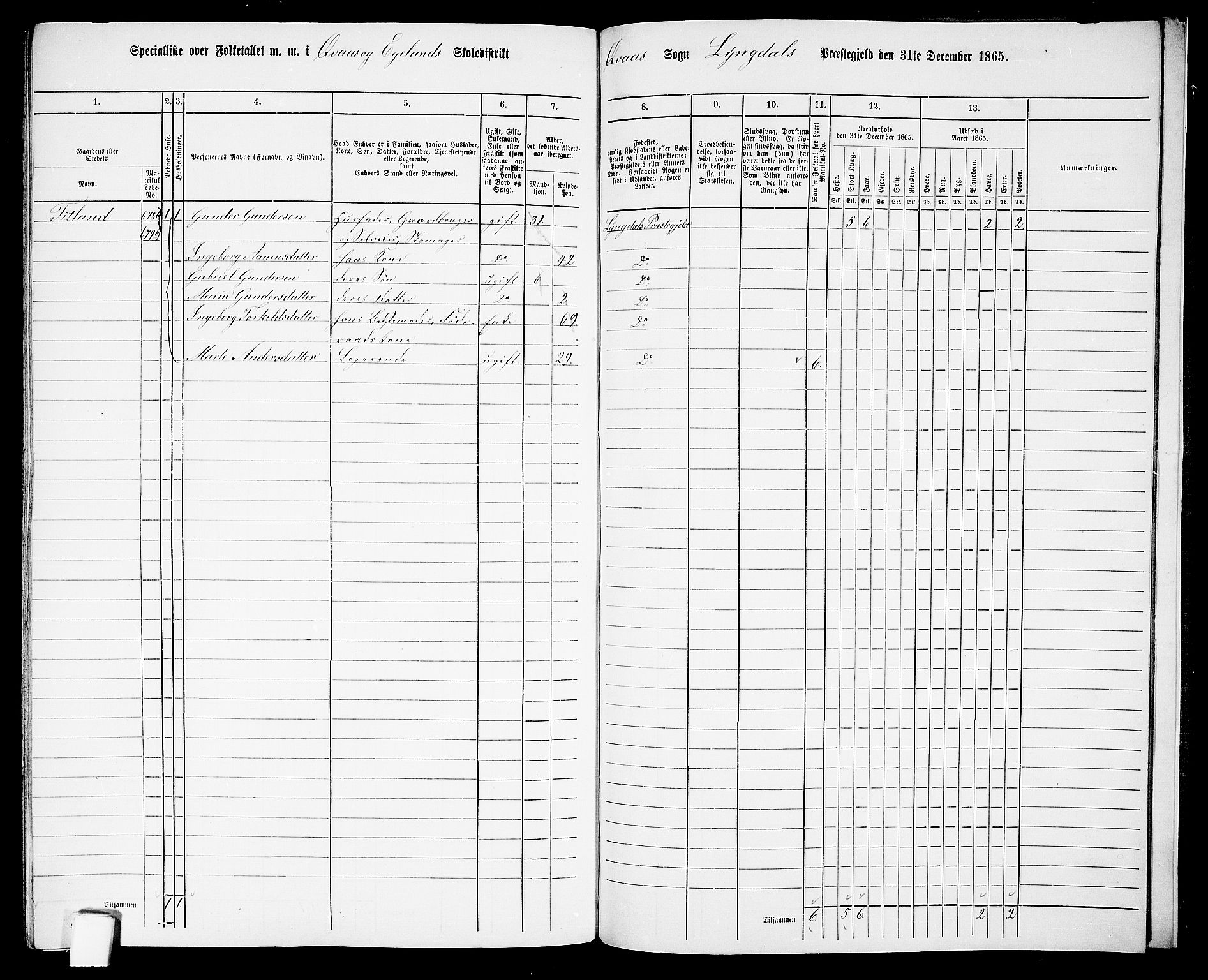 RA, 1865 census for Lyngdal, 1865, p. 243