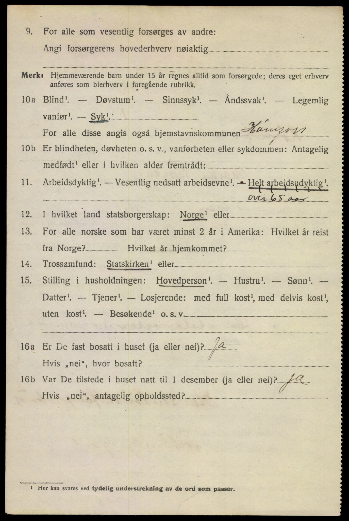 SAKO, 1920 census for Hønefoss, 1920, p. 6625