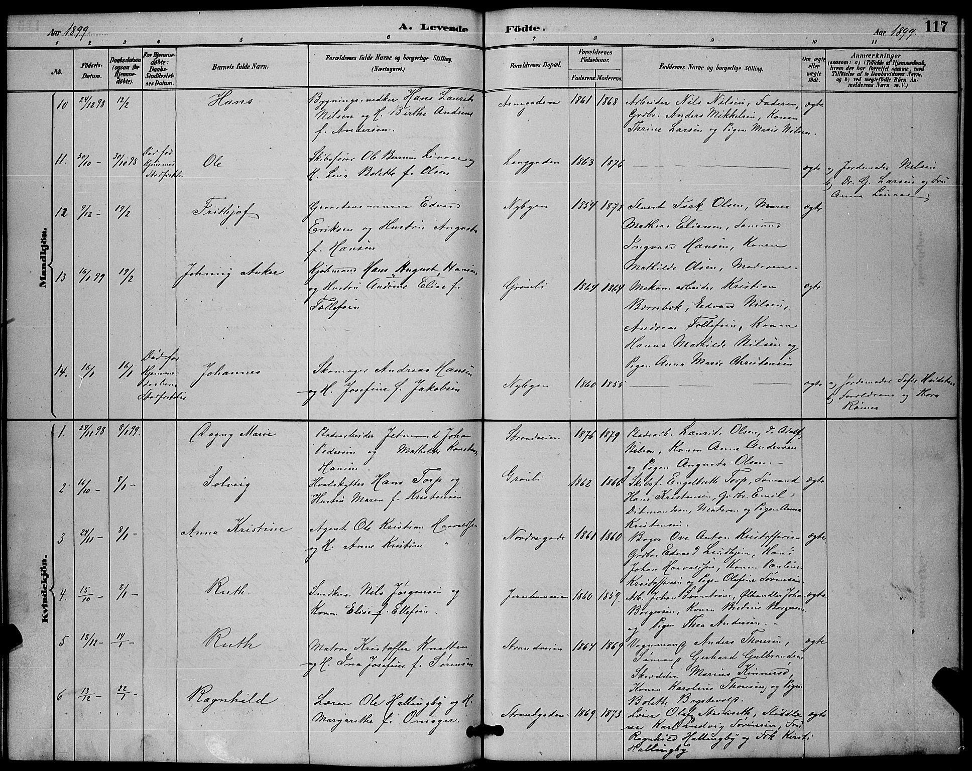 Sandefjord kirkebøker, AV/SAKO-A-315/G/Ga/L0001: Parish register (copy) no. 1, 1885-1903, p. 117