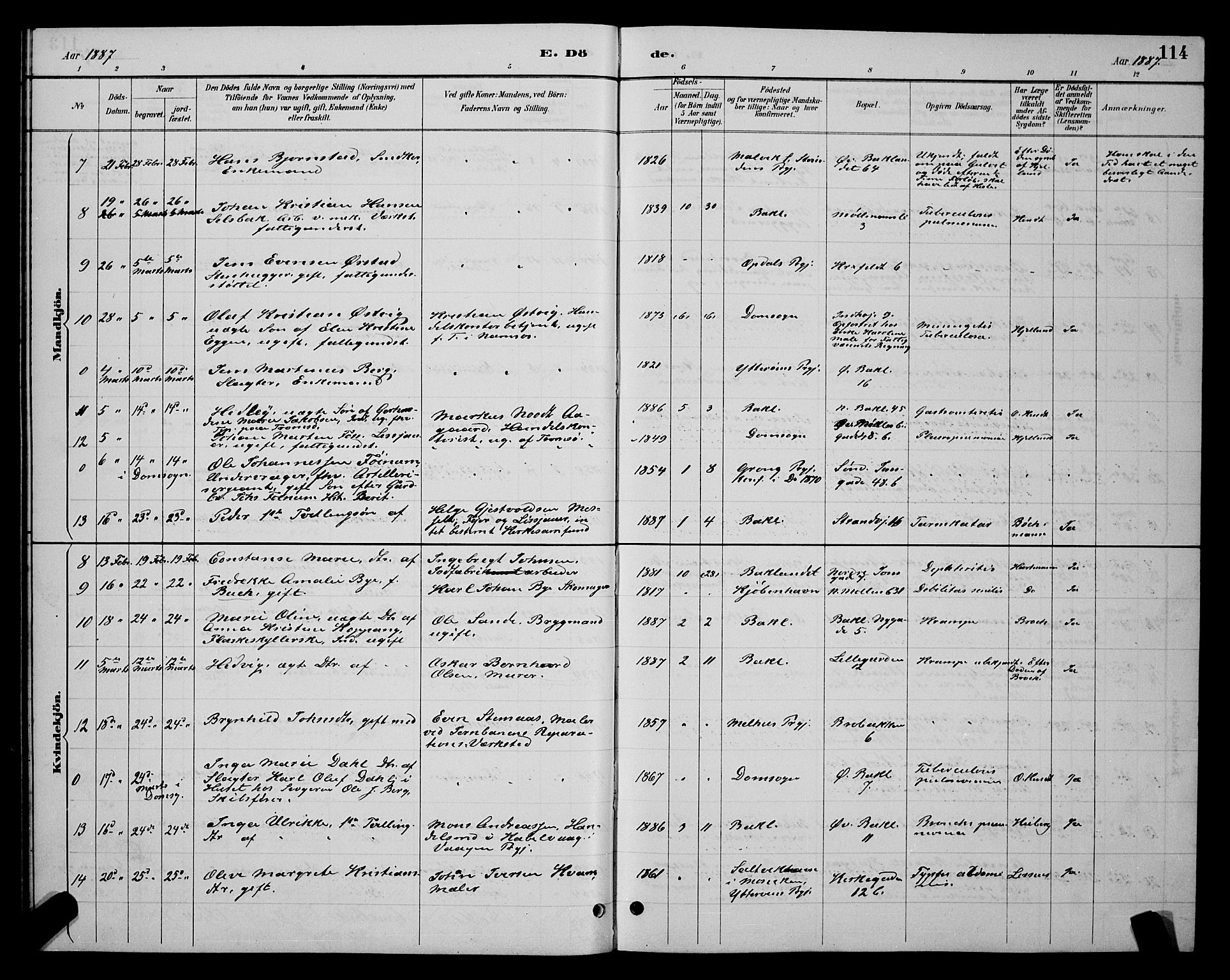 Ministerialprotokoller, klokkerbøker og fødselsregistre - Sør-Trøndelag, AV/SAT-A-1456/604/L0223: Parish register (copy) no. 604C06, 1886-1897, p. 114