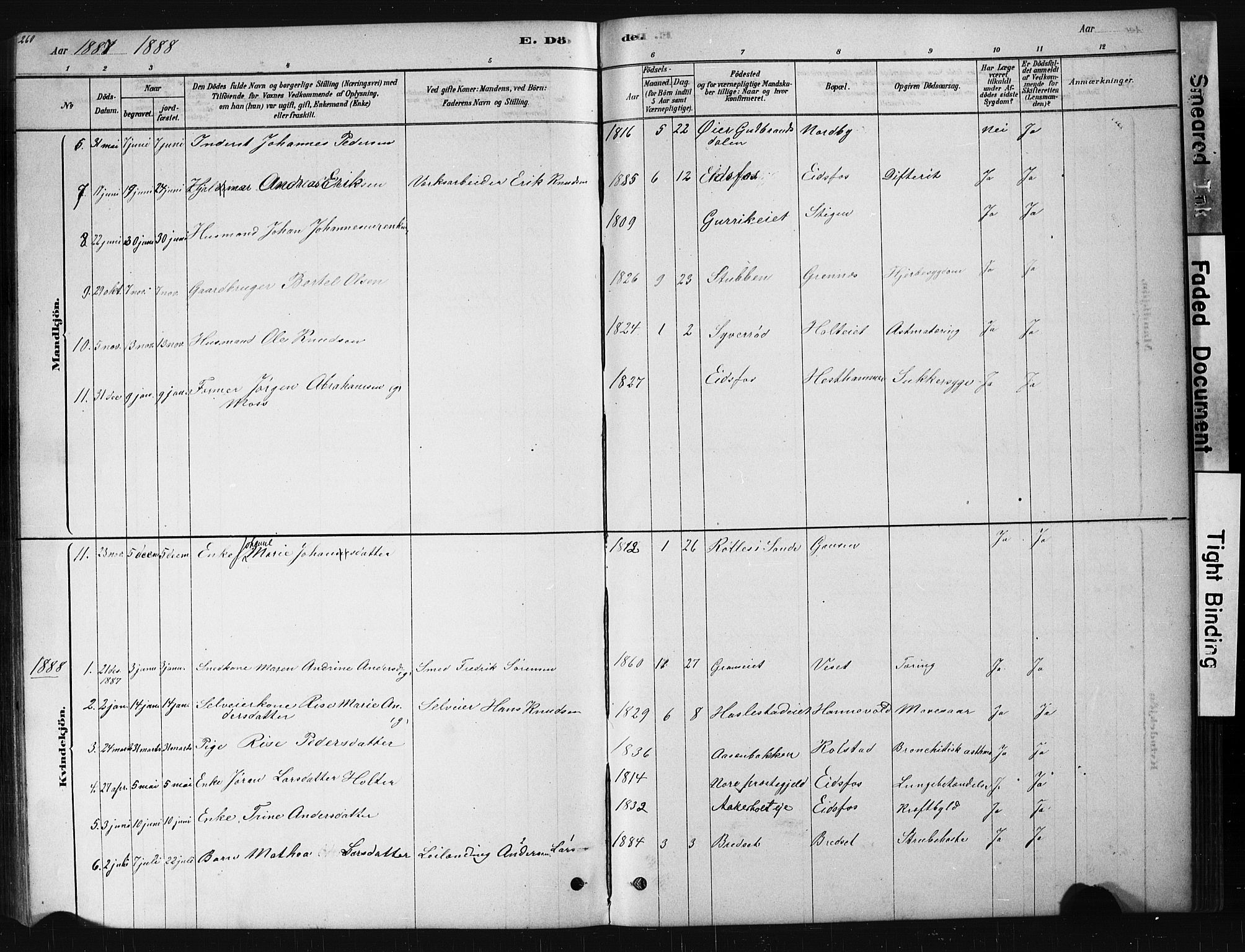 Hof kirkebøker, AV/SAKO-A-64/G/Ga/L0004: Parish register (copy) no. I 4, 1878-1930, p. 260