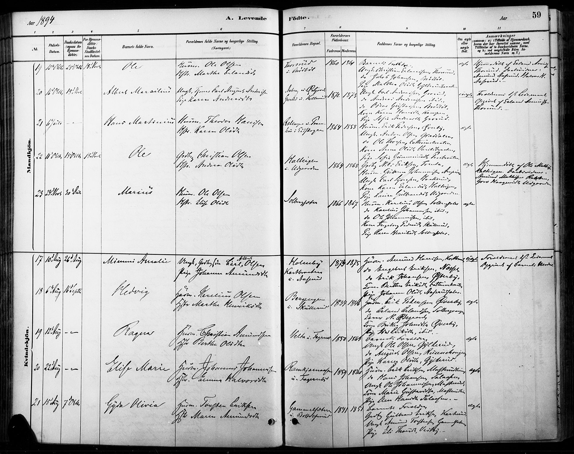 Vinger prestekontor, AV/SAH-PREST-024/H/Ha/Haa/L0015: Parish register (official) no. 15, 1881-1900, p. 59