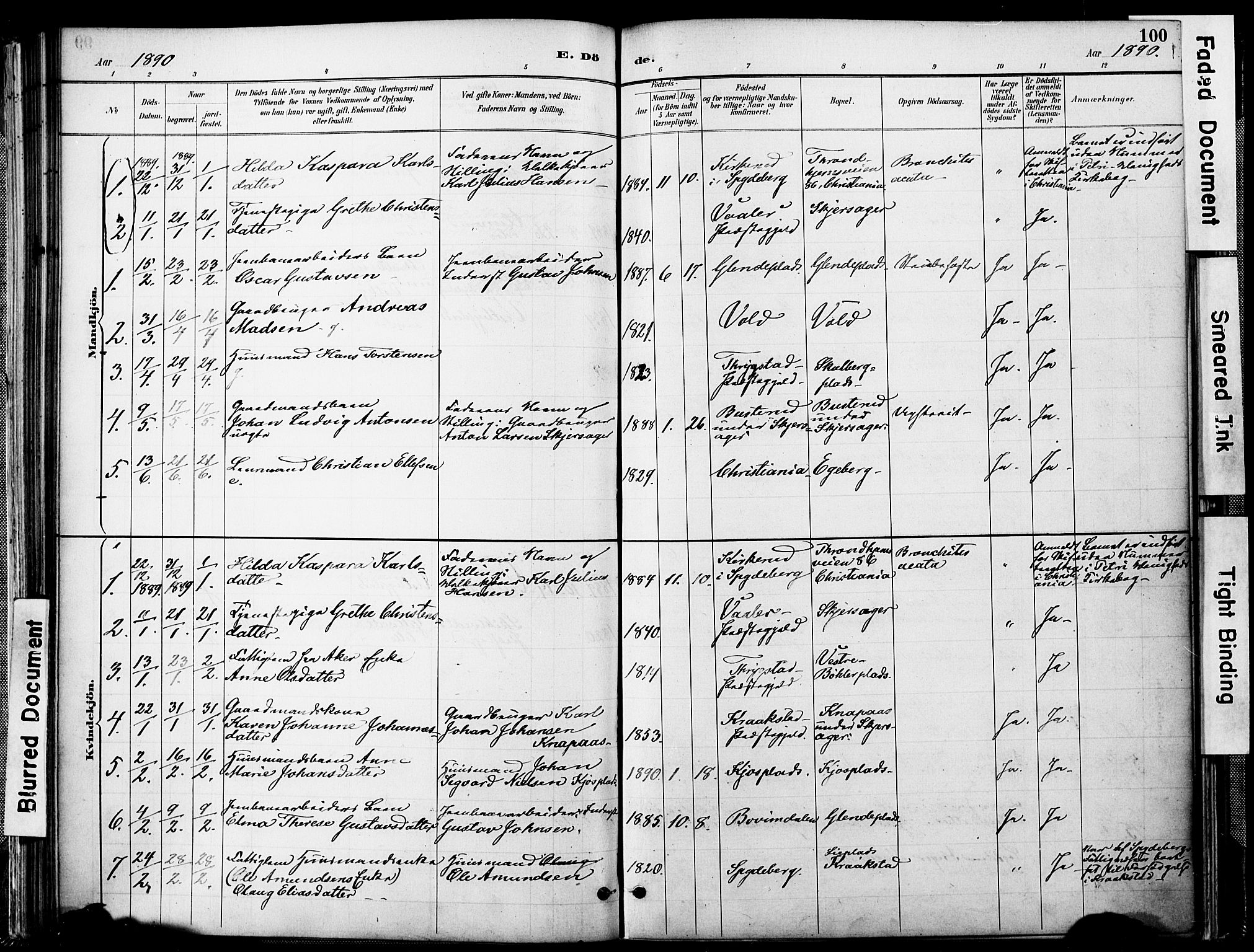 Spydeberg prestekontor Kirkebøker, AV/SAO-A-10924/F/Fa/L0008: Parish register (official) no. I 8, 1886-1900, p. 100