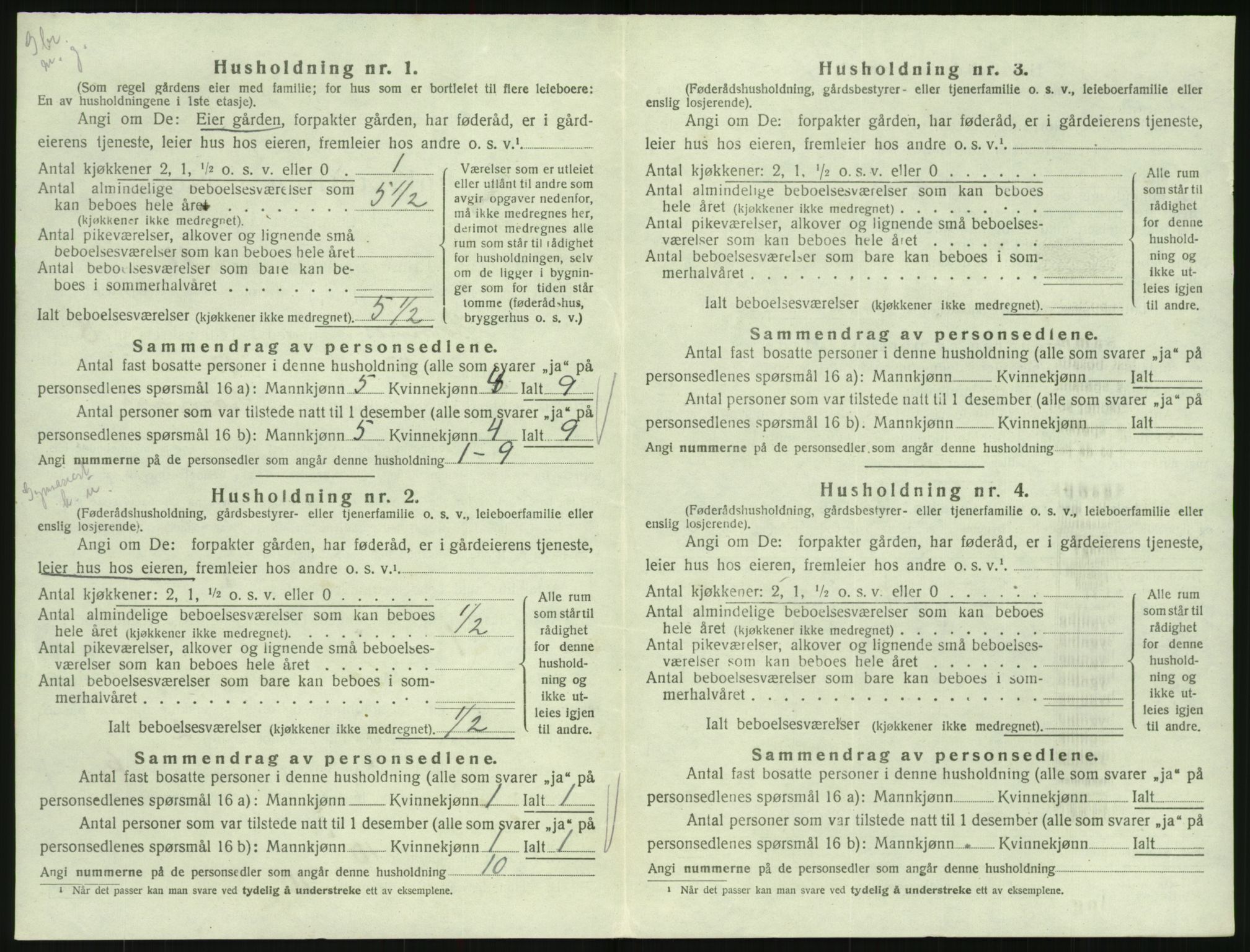 SAK, 1920 census for Hornnes, 1920, p. 336