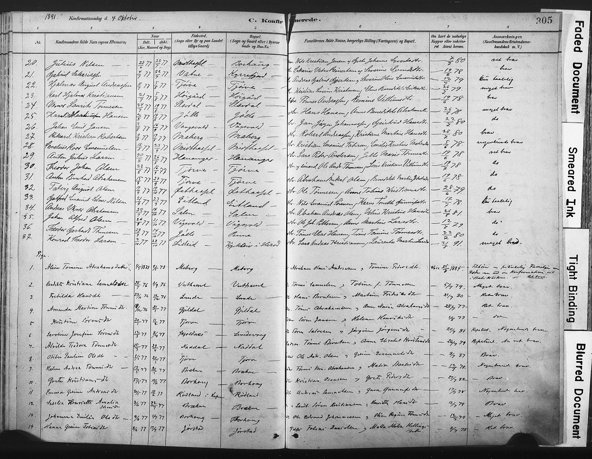 Lista sokneprestkontor, AV/SAK-1111-0027/F/Fa/L0012: Parish register (official) no. A 12, 1879-1903, p. 305