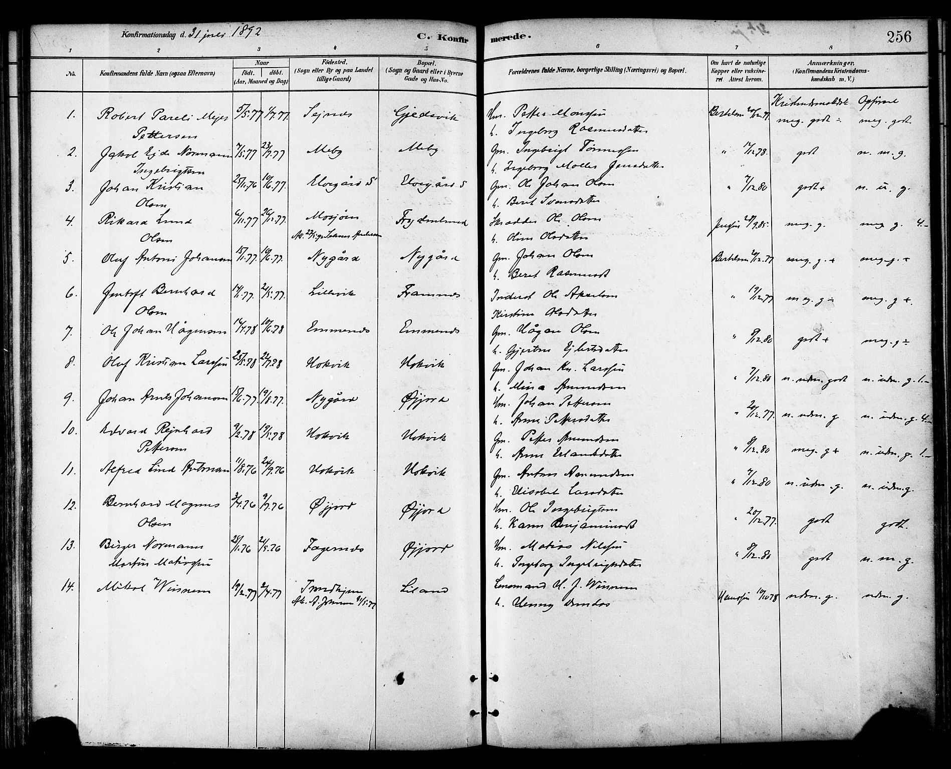 Ministerialprotokoller, klokkerbøker og fødselsregistre - Nordland, AV/SAT-A-1459/866/L0938: Parish register (official) no. 866A01, 1879-1893, p. 256