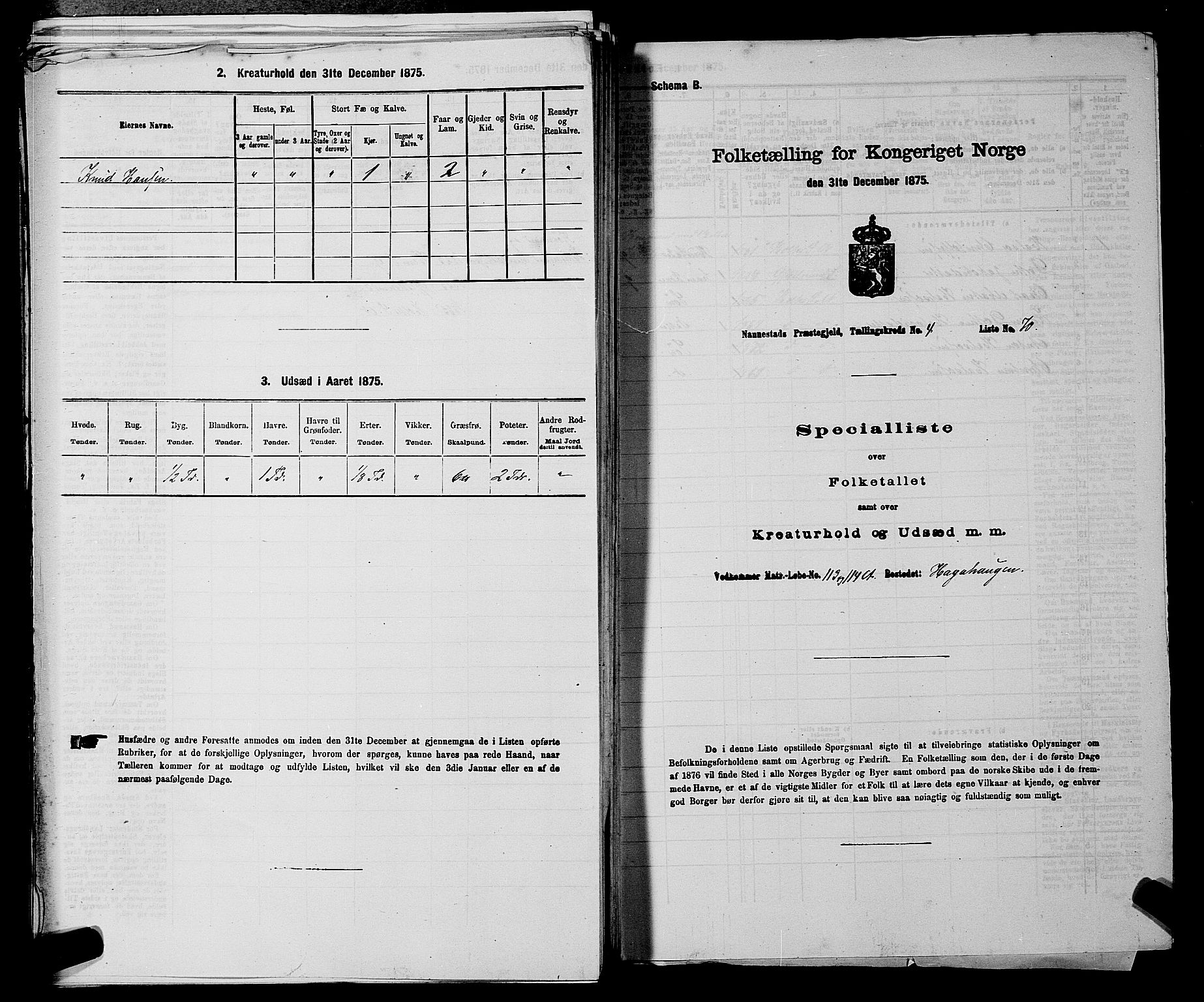 RA, 1875 census for 0238P Nannestad, 1875, p. 706