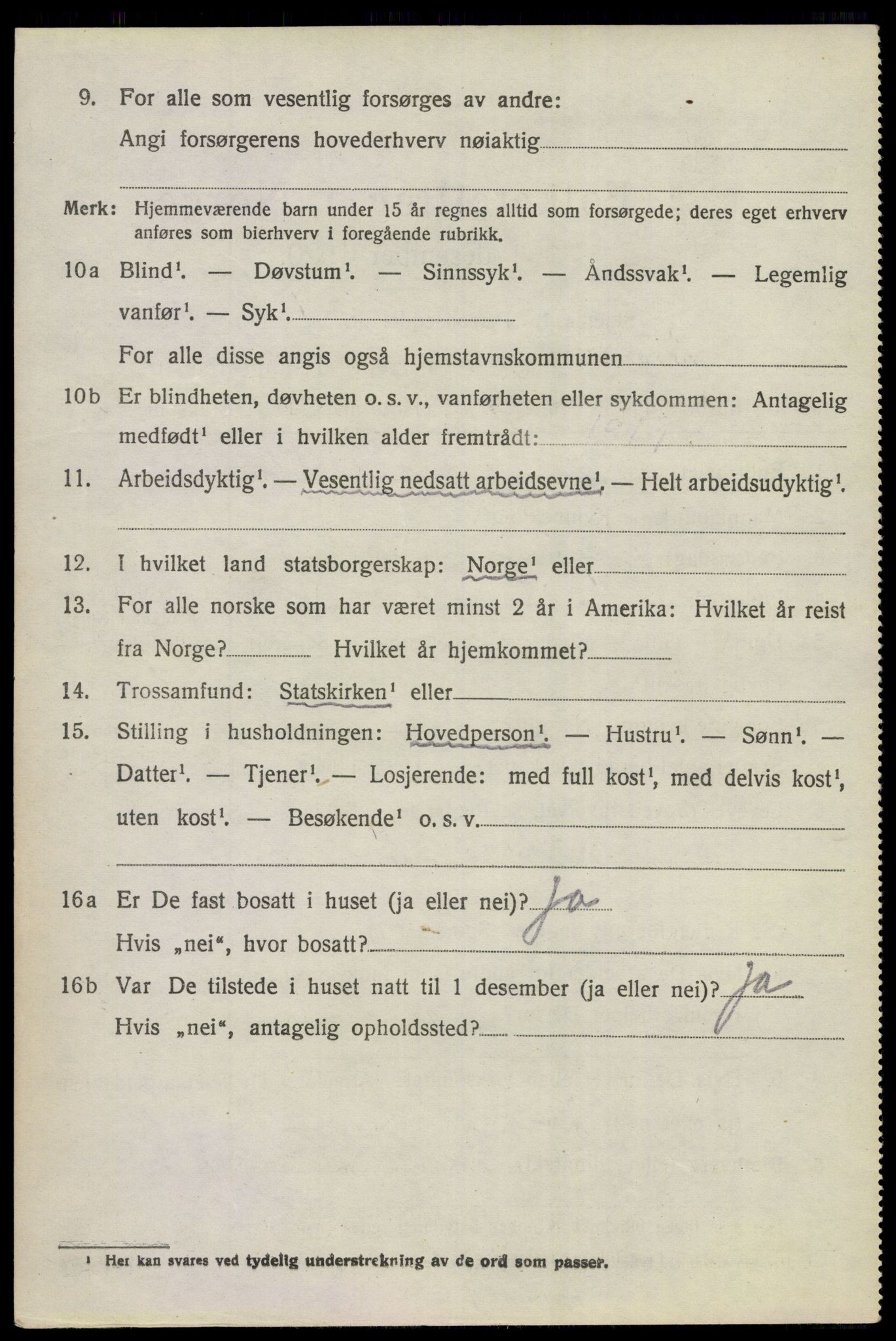 SAKO, 1920 census for Hol (Buskerud), 1920, p. 848