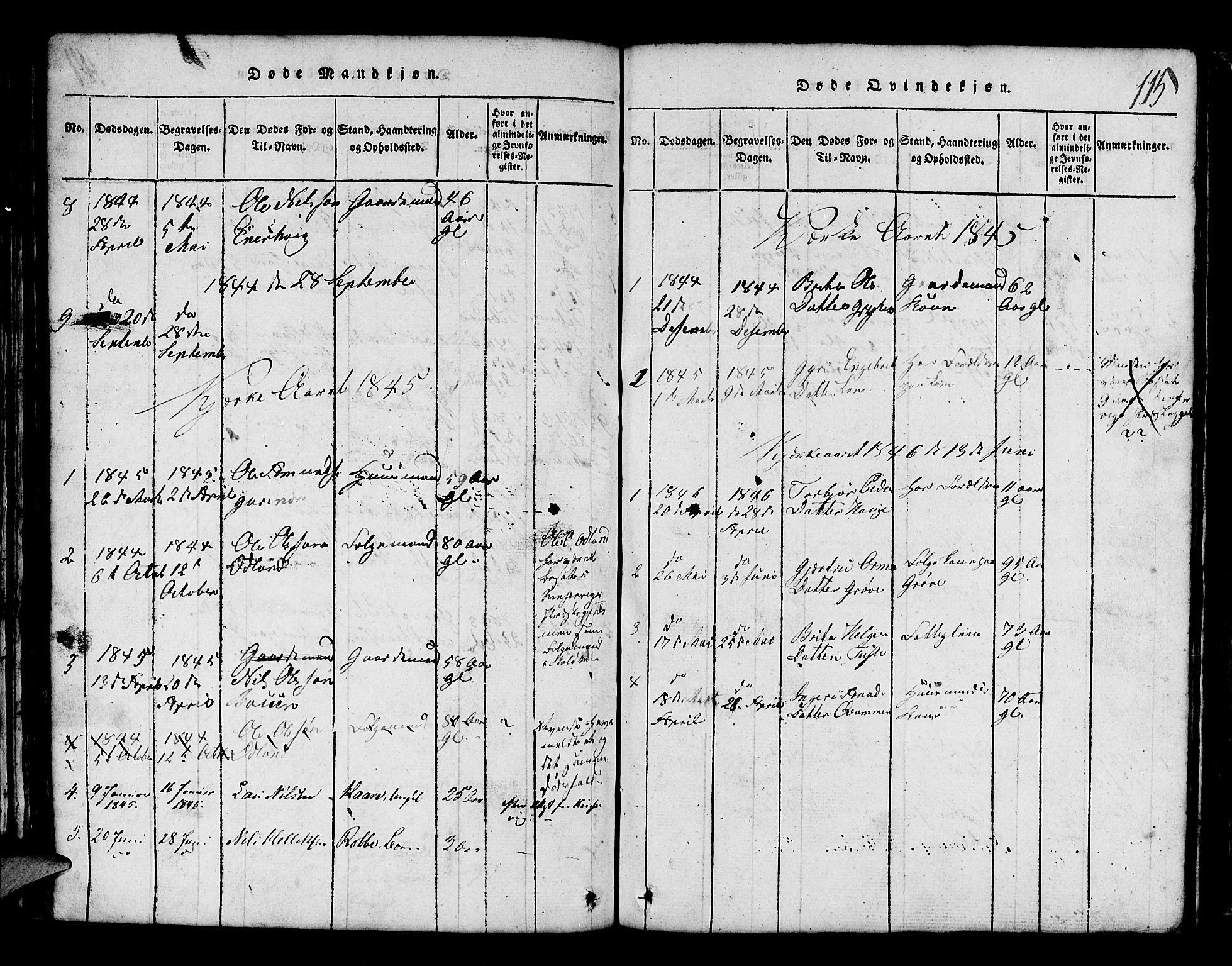 Røldal sokneprestembete, SAB/A-100247: Parish register (copy) no. A 1, 1817-1860, p. 115