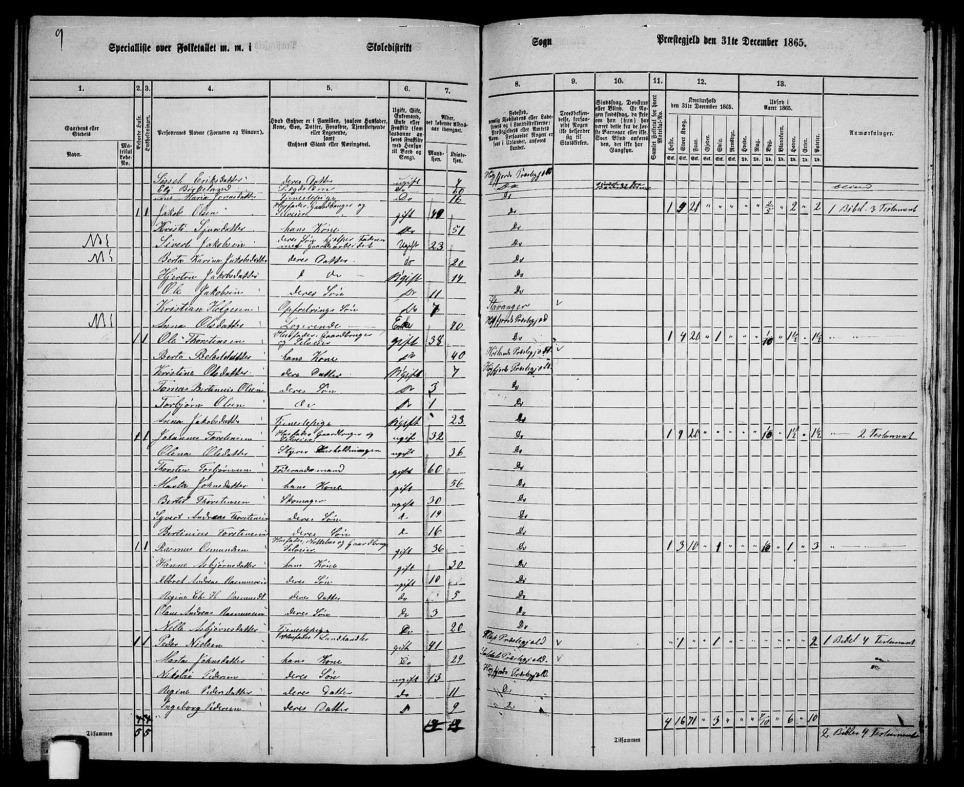 RA, 1865 census for Høgsfjord, 1865, p. 106