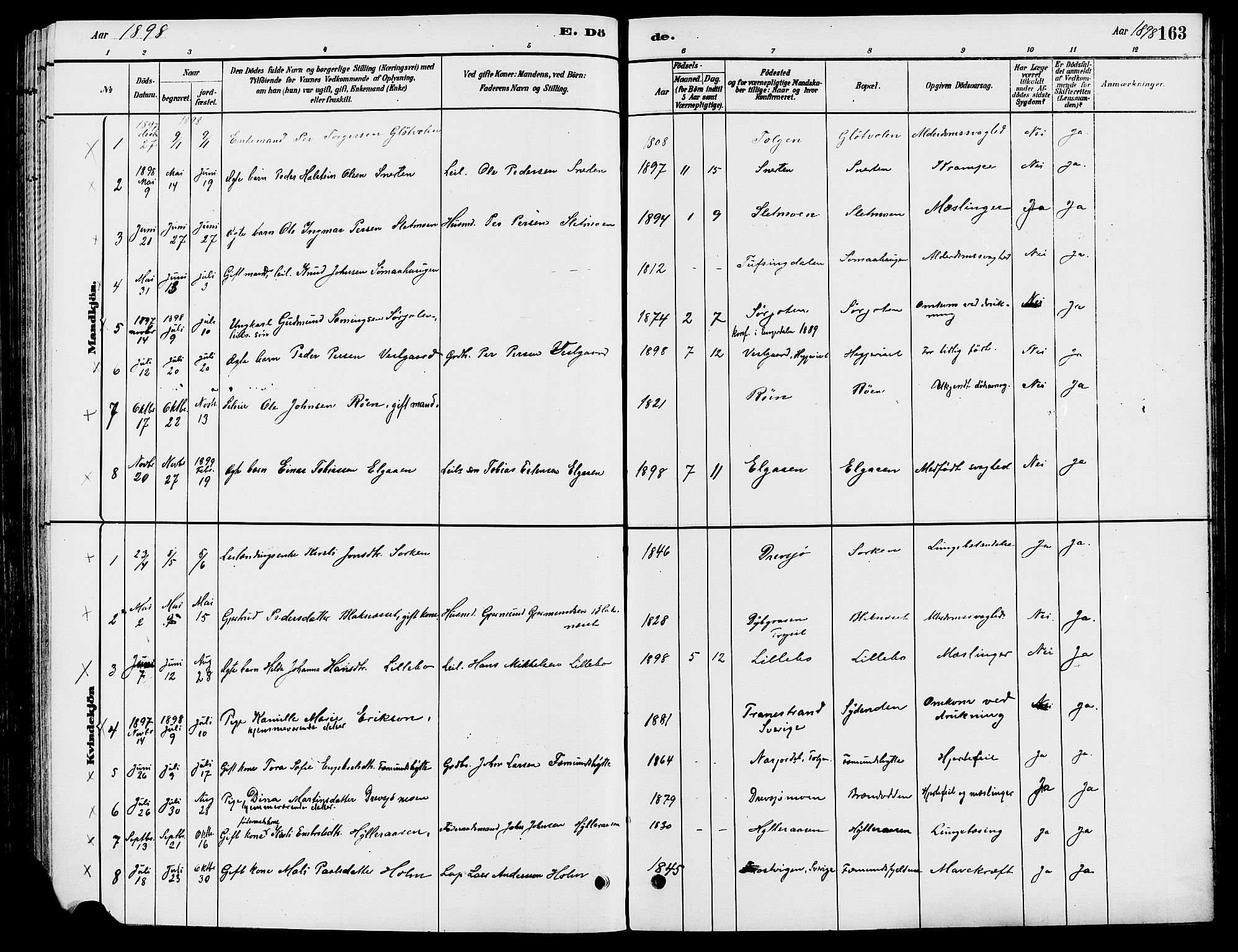 Engerdal prestekontor, AV/SAH-PREST-048/H/Ha/Haa/L0001: Parish register (official) no. 1, 1881-1898, p. 163