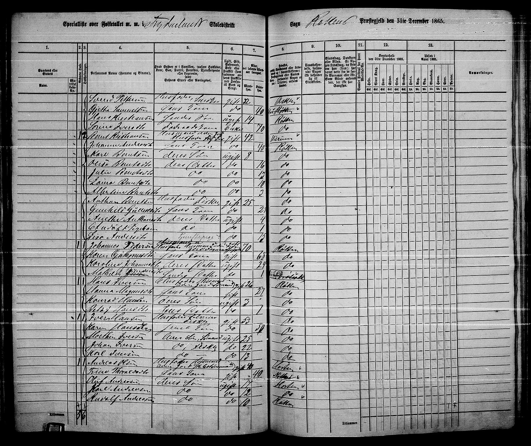 RA, 1865 census for Røyken, 1865, p. 101