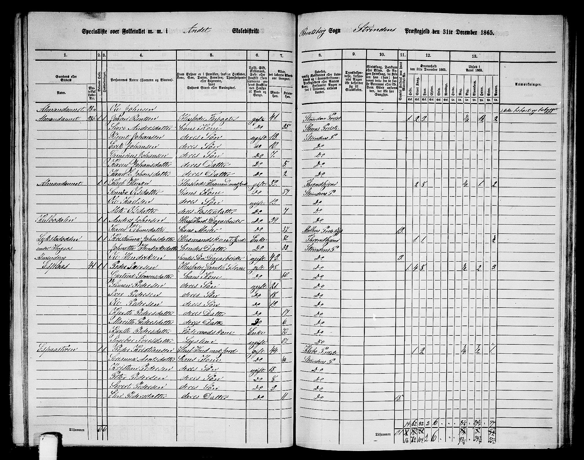 RA, 1865 census for Strinda, 1865, p. 177