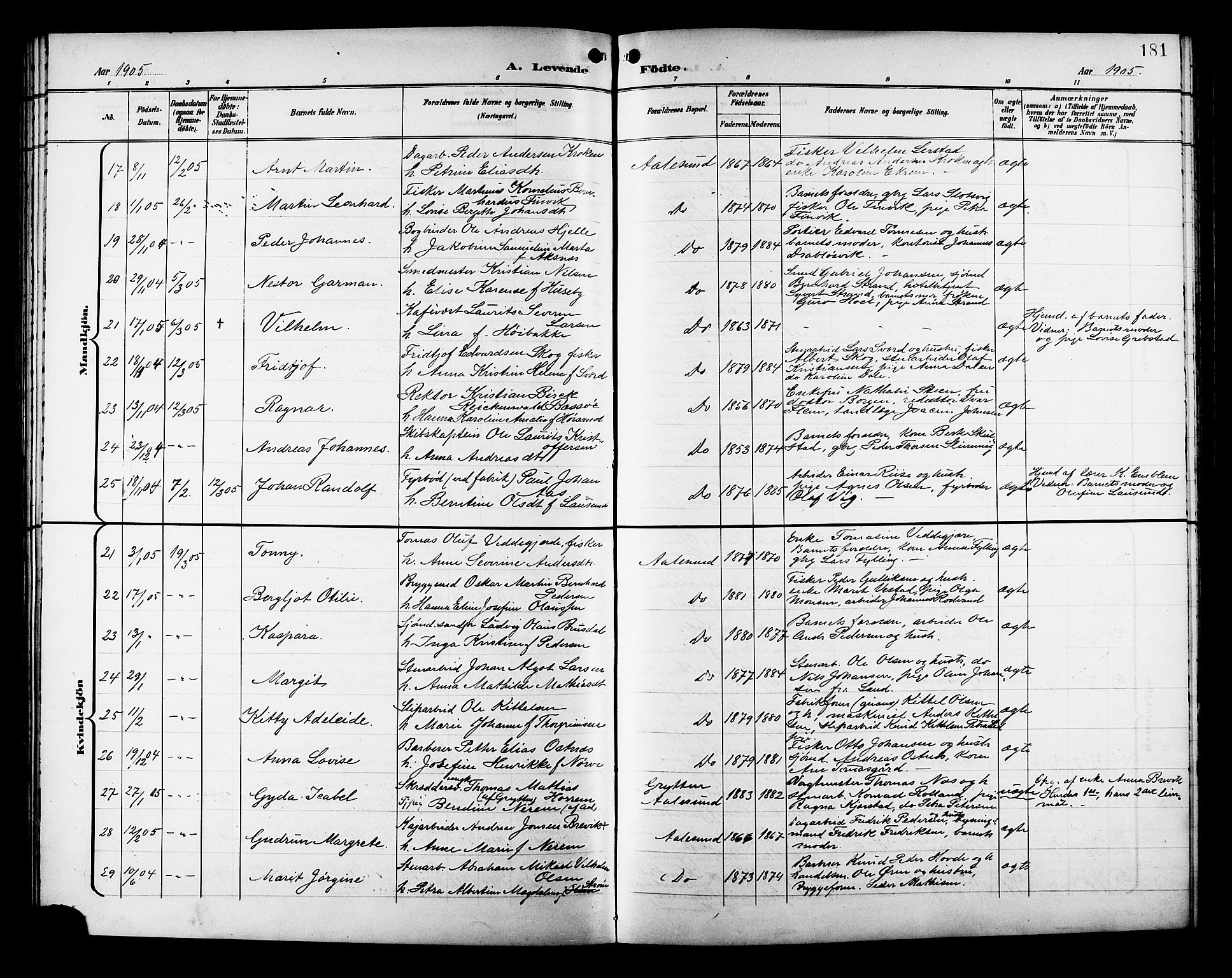 Ministerialprotokoller, klokkerbøker og fødselsregistre - Møre og Romsdal, AV/SAT-A-1454/529/L0468: Parish register (copy) no. 529C05, 1897-1908, p. 181