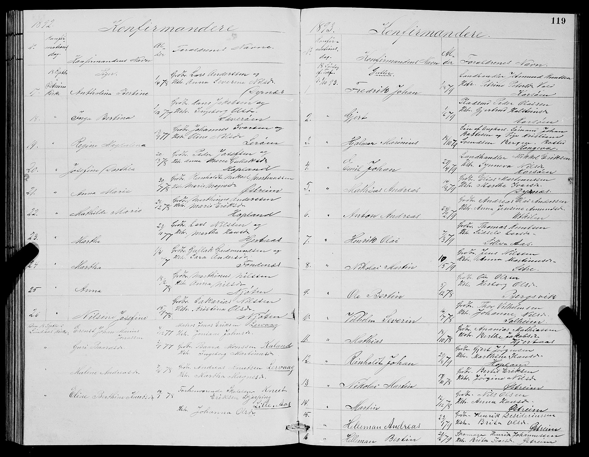 Lindås Sokneprestembete, AV/SAB-A-76701/H/Hab/Habc/L0003: Parish register (copy) no. C 3, 1886-1893, p. 119