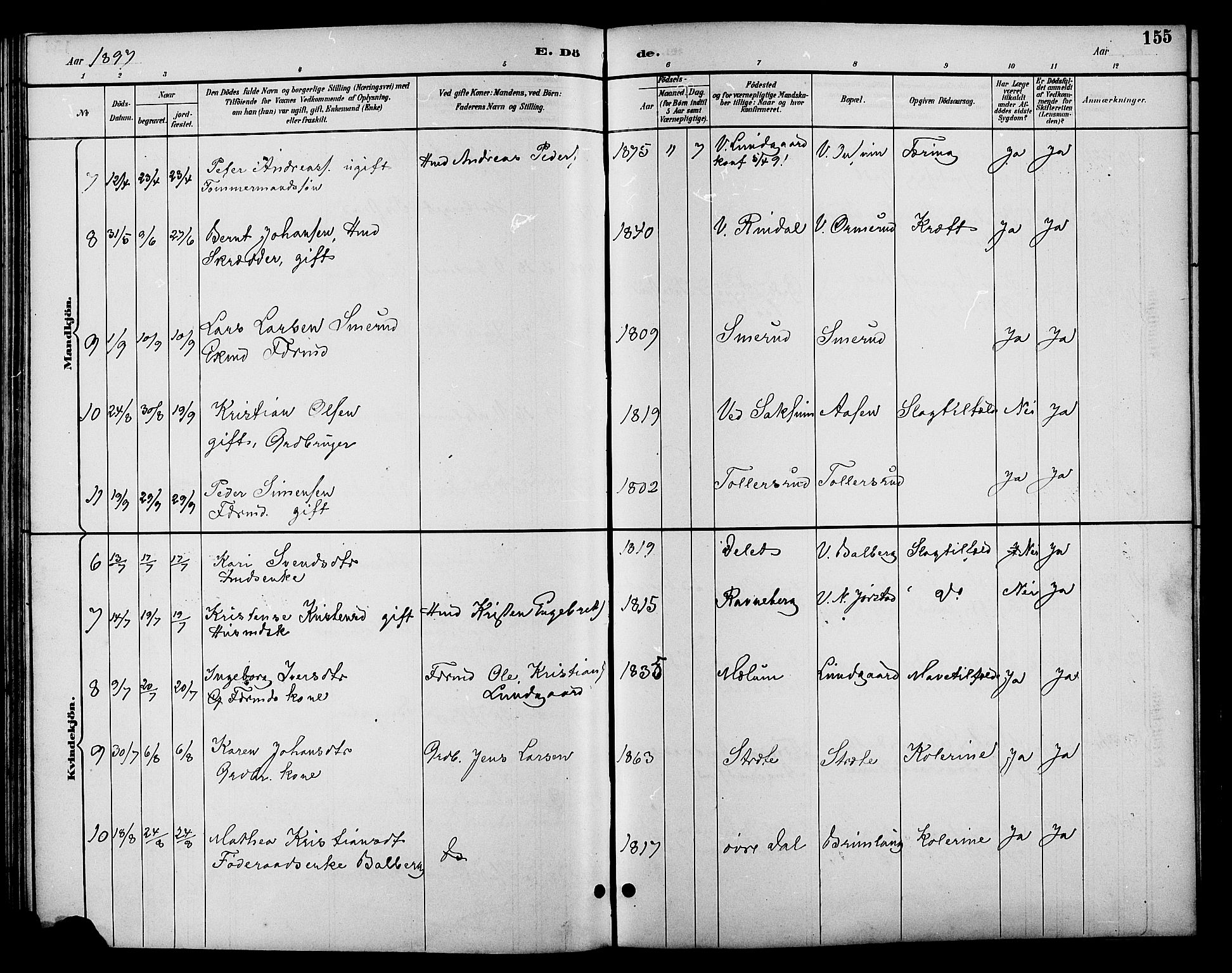 Fåberg prestekontor, SAH/PREST-086/H/Ha/Hab/L0010: Parish register (copy) no. 10, 1892-1900, p. 155