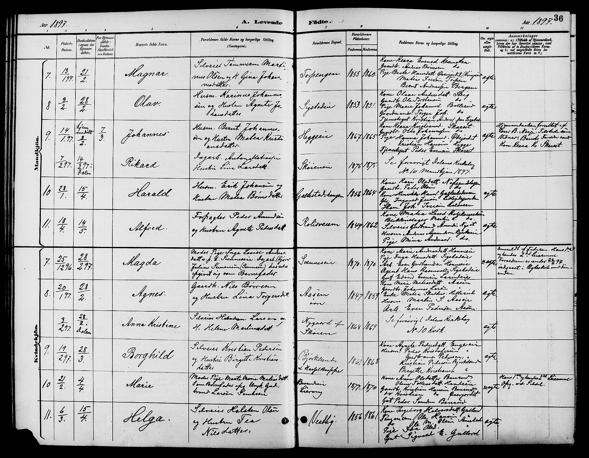 Biri prestekontor, SAH/PREST-096/H/Ha/Hab/L0004: Parish register (copy) no. 4, 1892-1909, p. 36