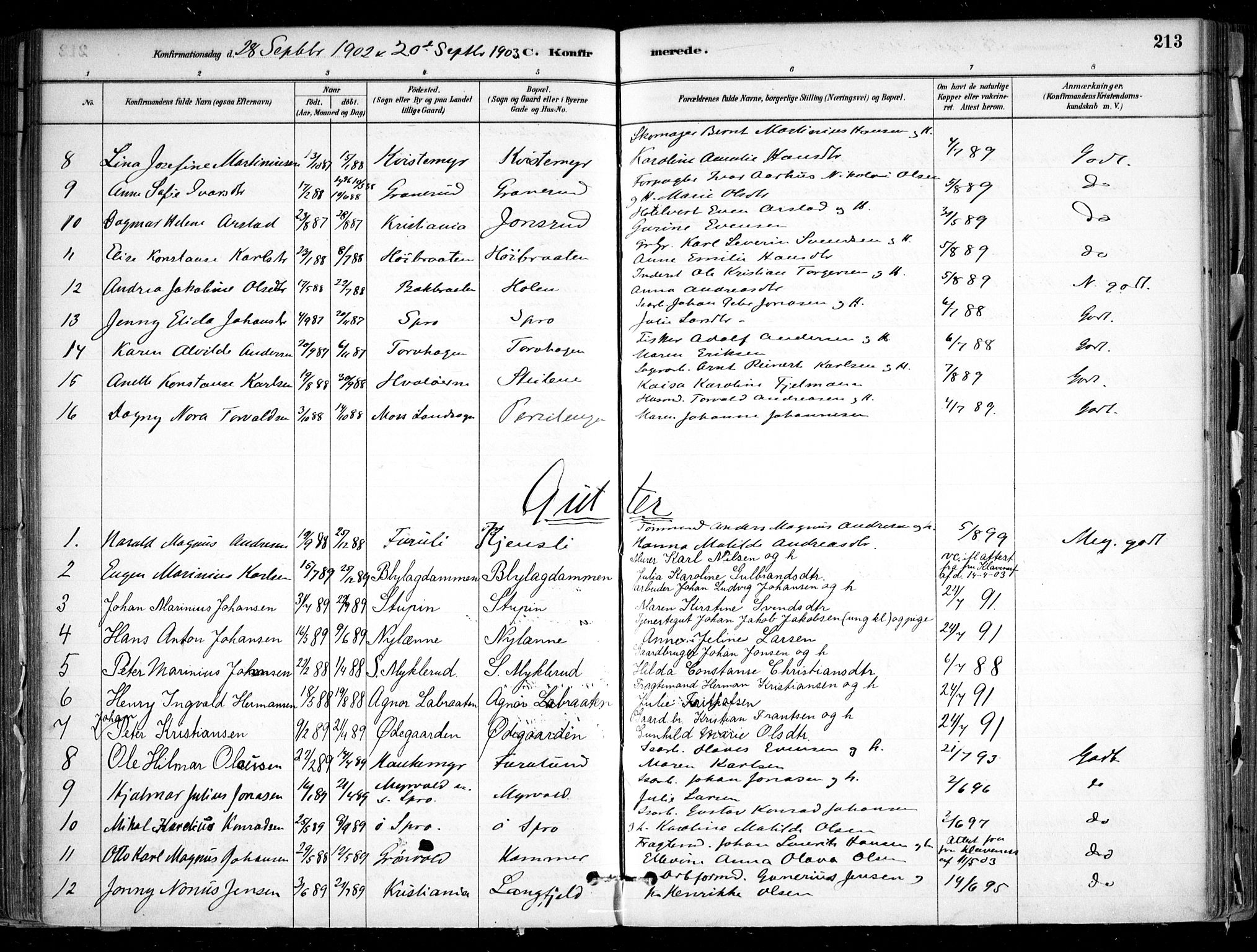 Nesodden prestekontor Kirkebøker, SAO/A-10013/F/Fa/L0009: Parish register (official) no. I 9, 1880-1915, p. 213