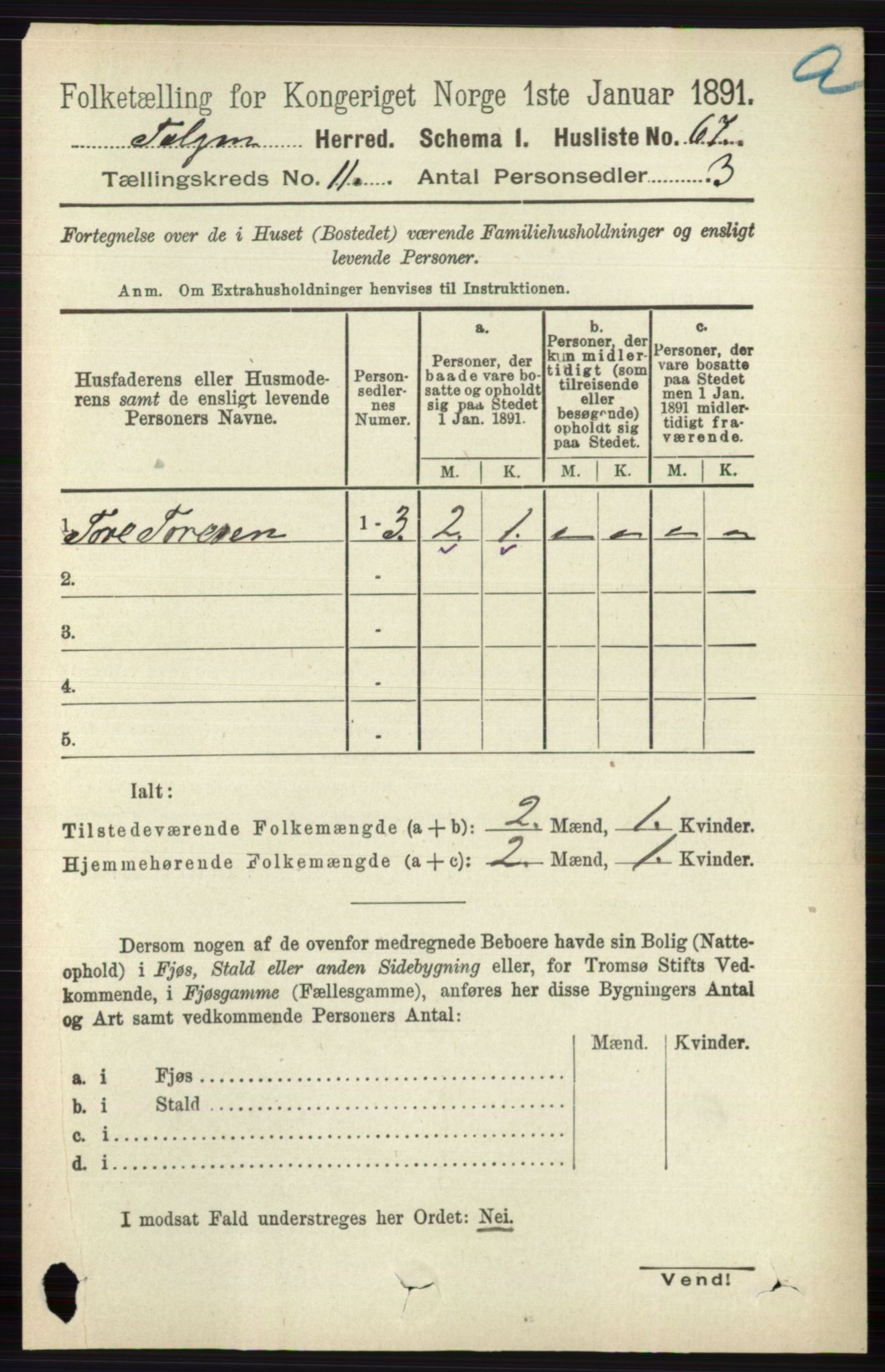 RA, 1891 census for 0436 Tolga, 1891, p. 3211