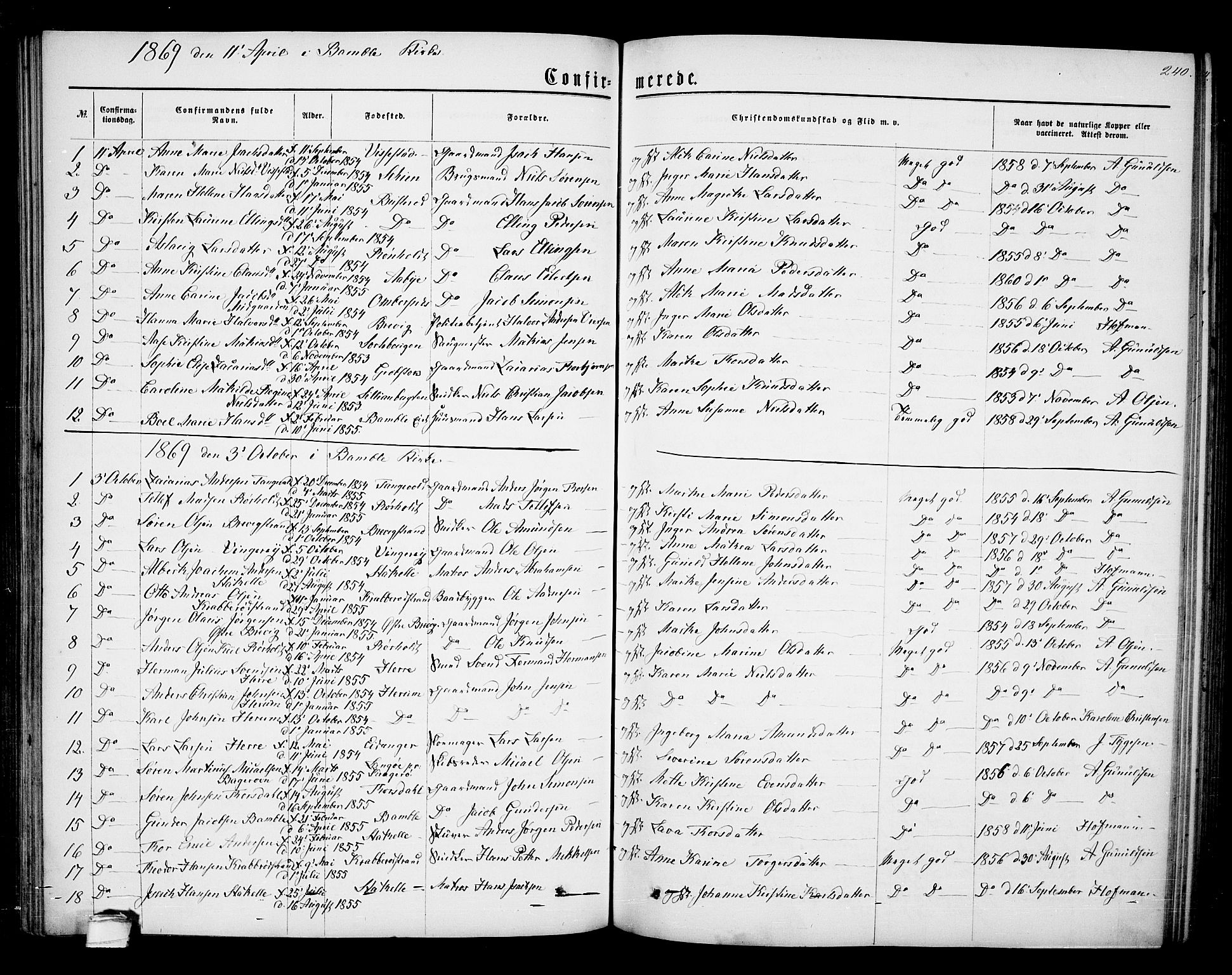 Bamble kirkebøker, AV/SAKO-A-253/G/Ga/L0006: Parish register (copy) no. I 6, 1860-1876, p. 240