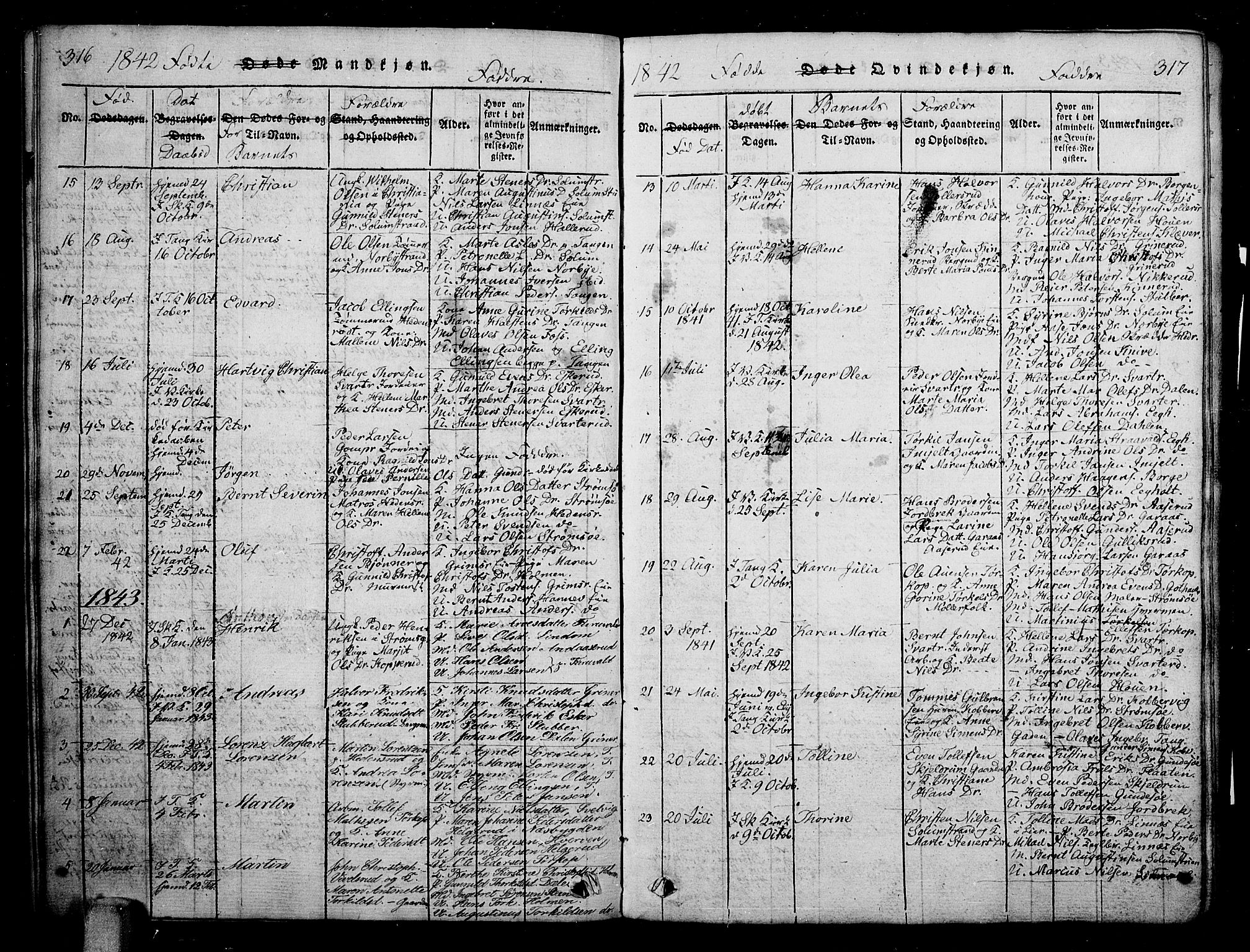 Skoger kirkebøker, SAKO/A-59/G/Ga/L0001: Parish register (copy) no. I 1, 1814-1845, p. 316-317