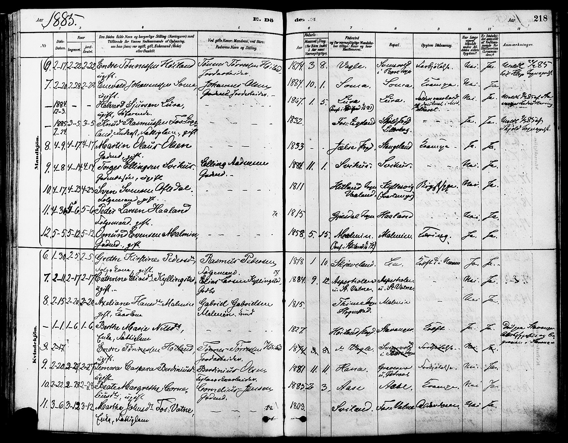 Høyland sokneprestkontor, SAST/A-101799/001/30BA/L0011: Parish register (official) no. A 10, 1878-1888, p. 218