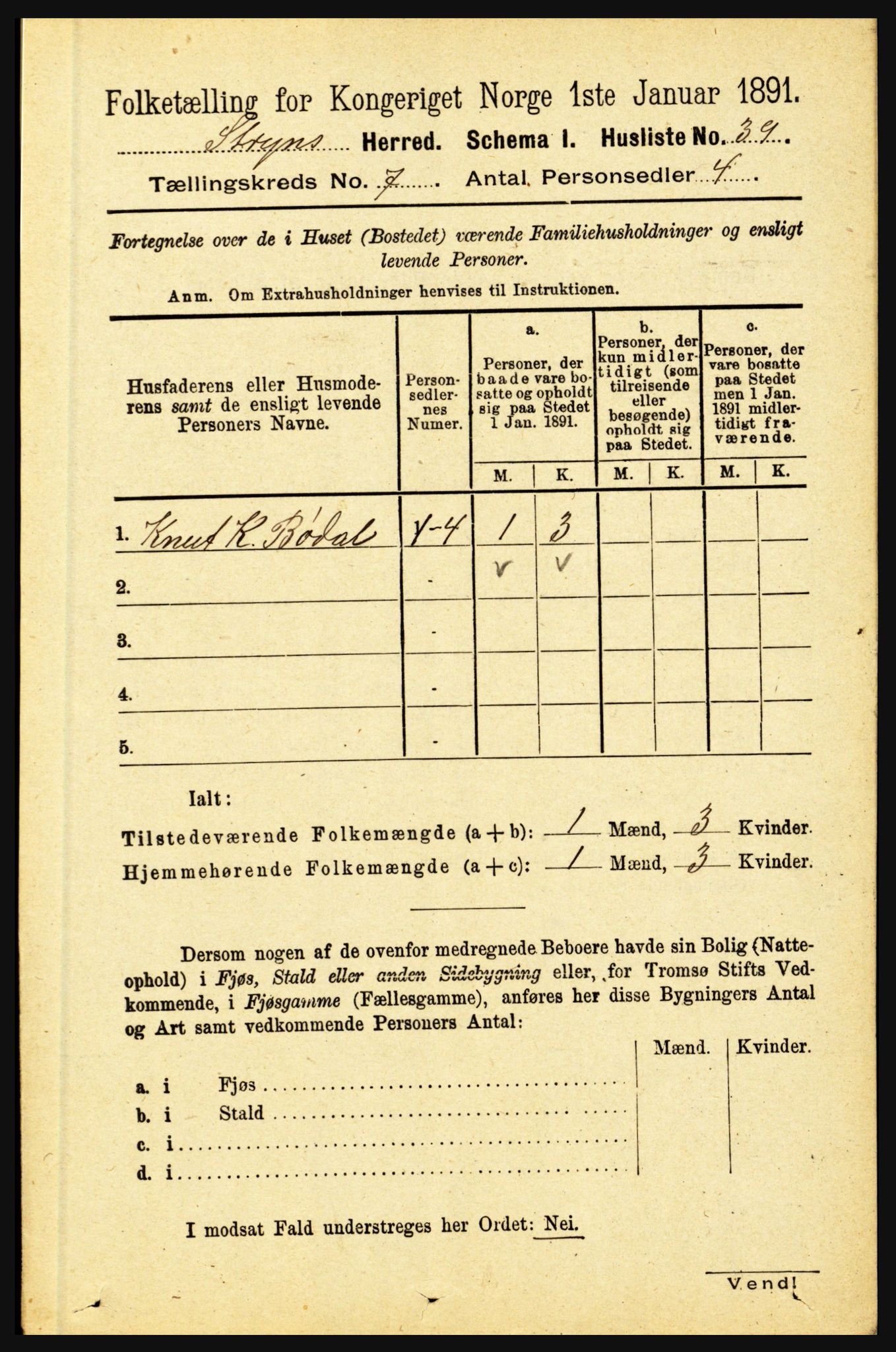 RA, 1891 census for 1448 Stryn, 1891, p. 2811