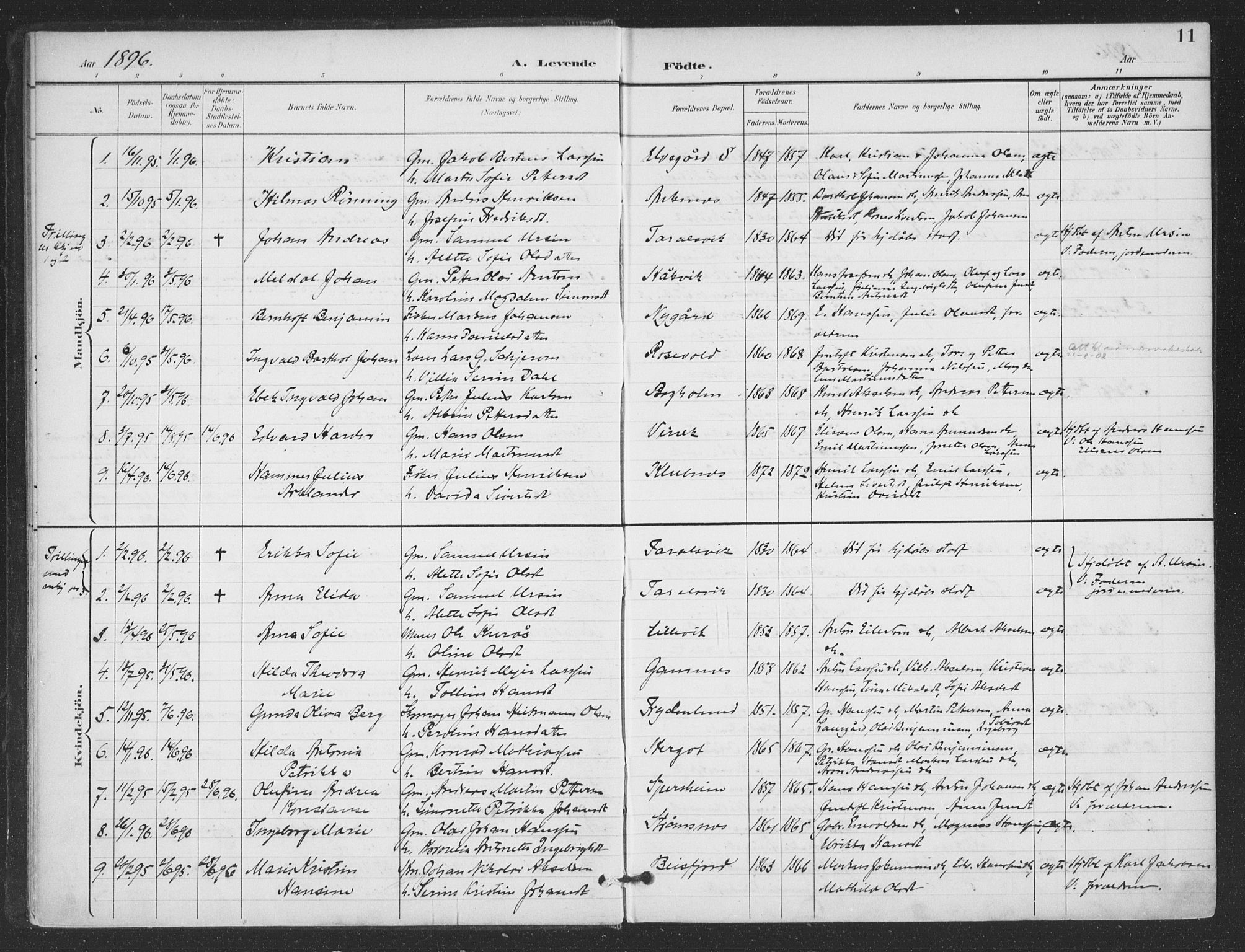 Ministerialprotokoller, klokkerbøker og fødselsregistre - Nordland, AV/SAT-A-1459/866/L0939: Parish register (official) no. 866A02, 1894-1906, p. 11