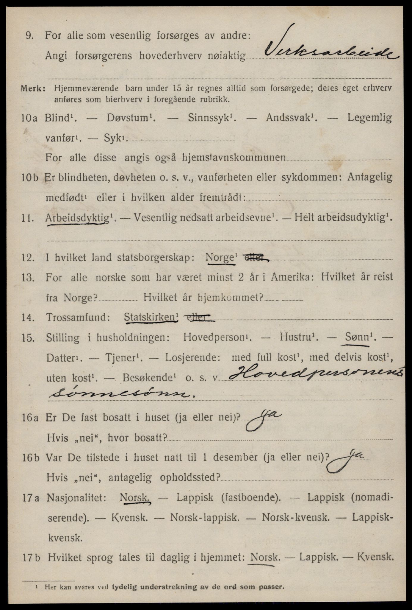 SAT, 1920 census for Røros, 1920, p. 11295