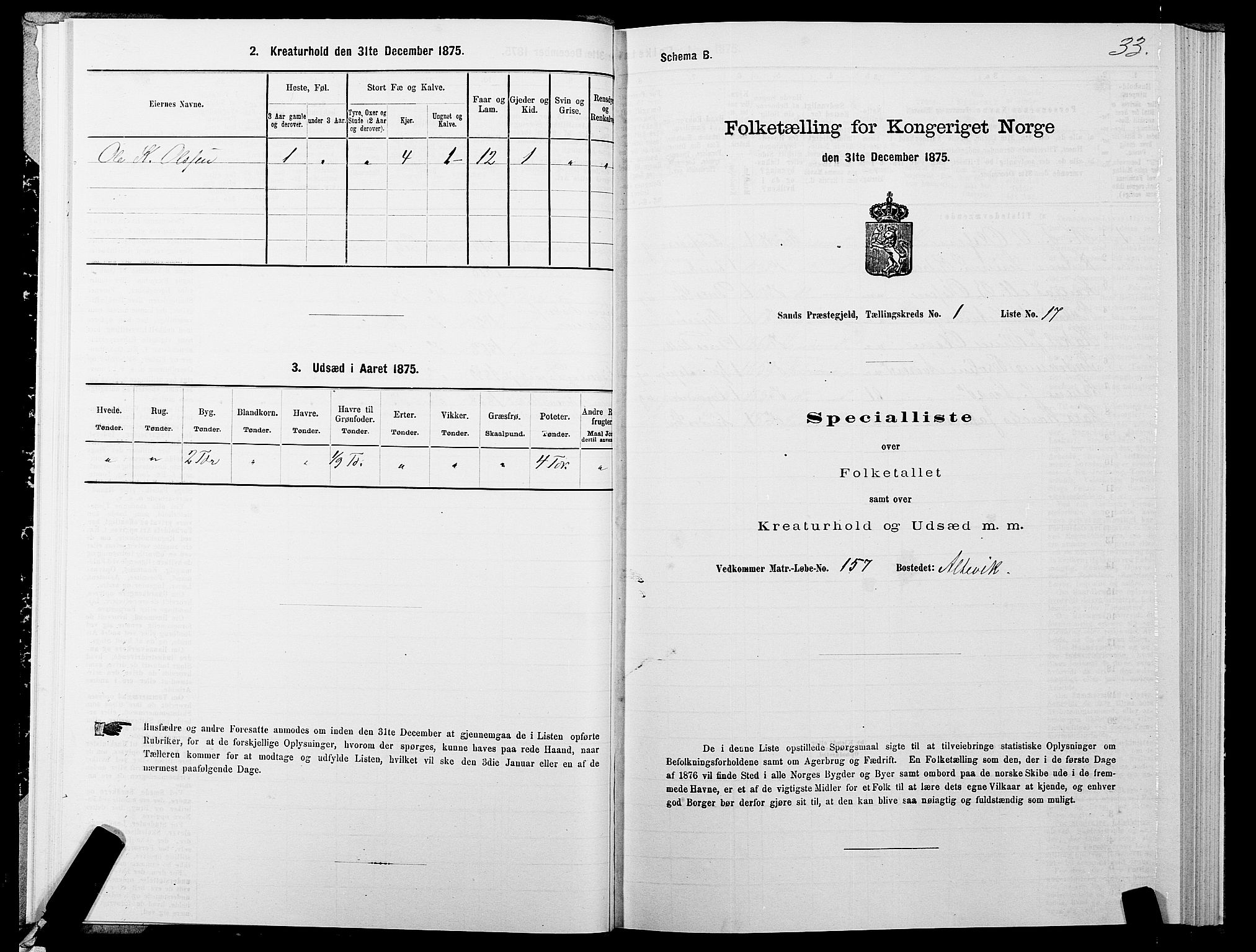 SATØ, 1875 census for 1915P Sand, 1875, p. 1033