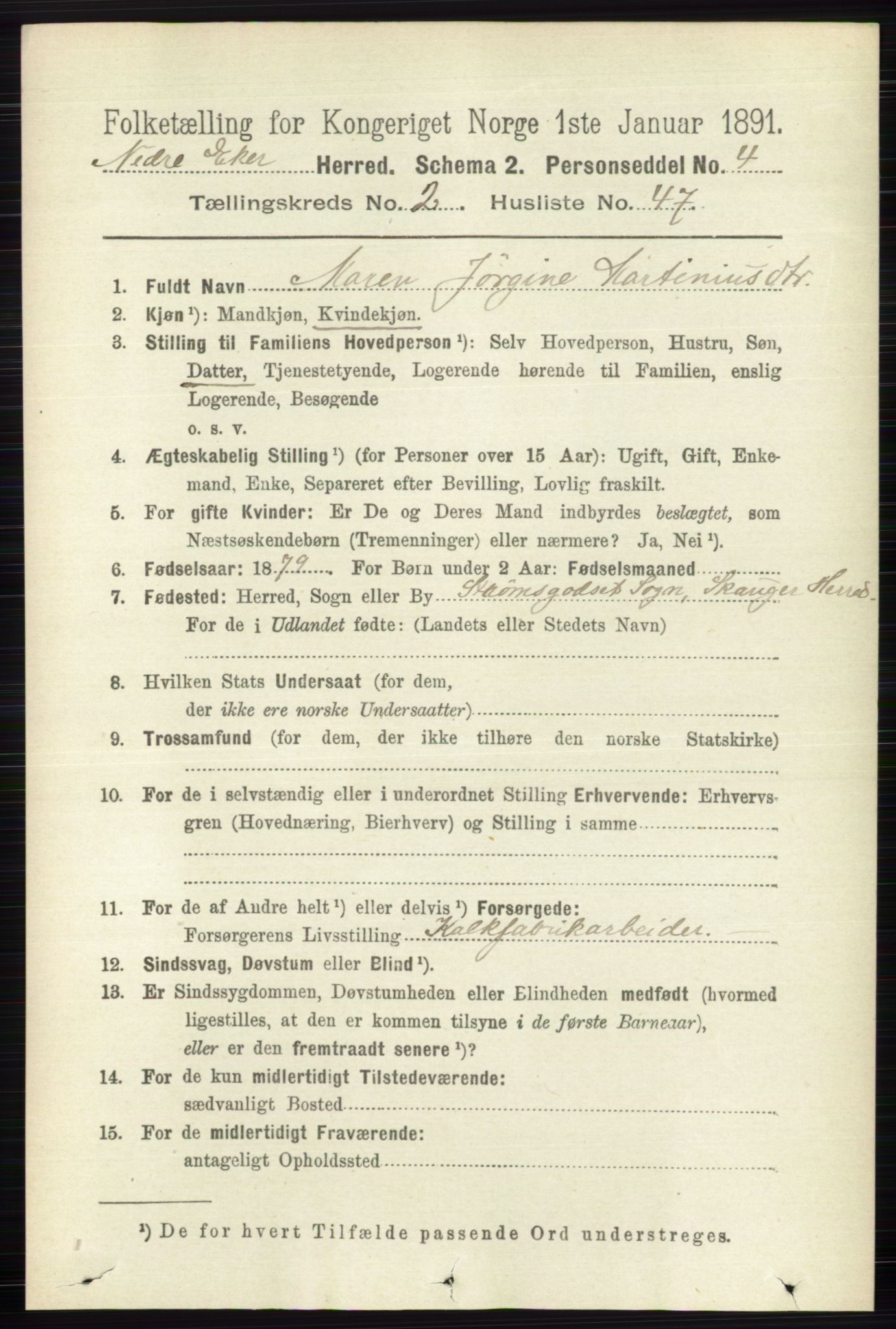 RA, 1891 census for 0625 Nedre Eiker, 1891, p. 802