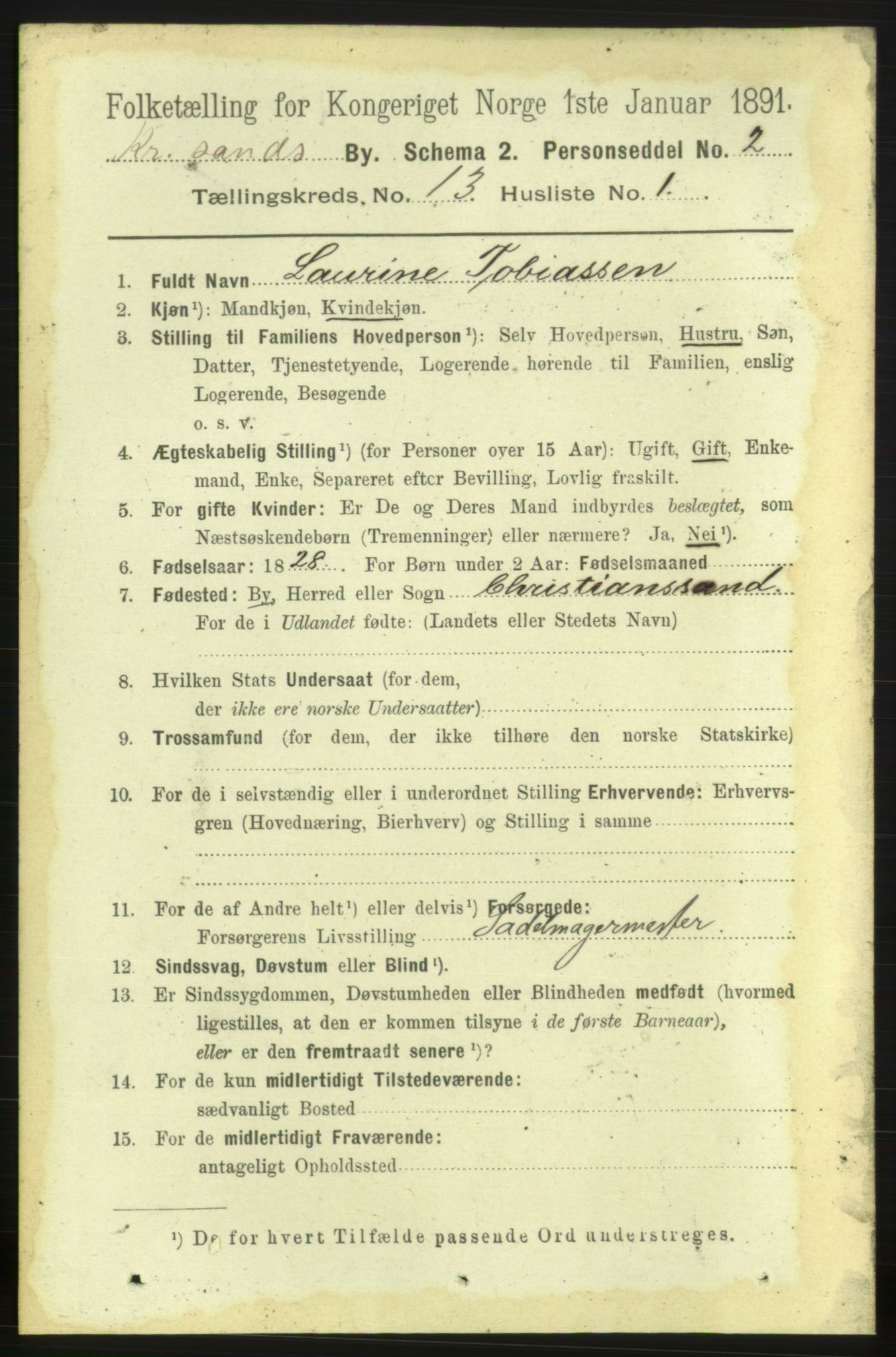 RA, 1891 census for 1001 Kristiansand, 1891, p. 6068