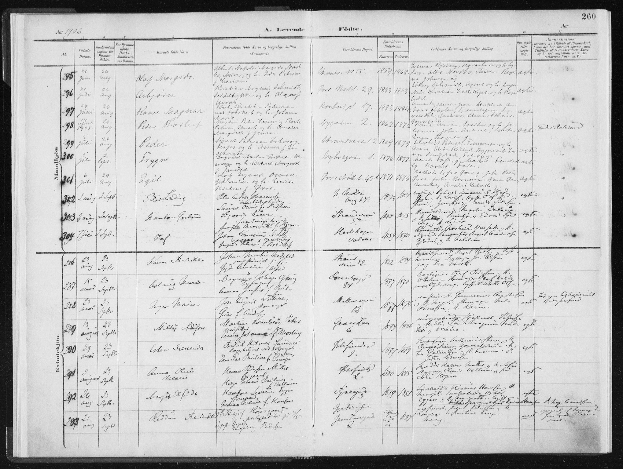 Ministerialprotokoller, klokkerbøker og fødselsregistre - Sør-Trøndelag, AV/SAT-A-1456/604/L0200: Parish register (official) no. 604A20II, 1901-1908, p. 260