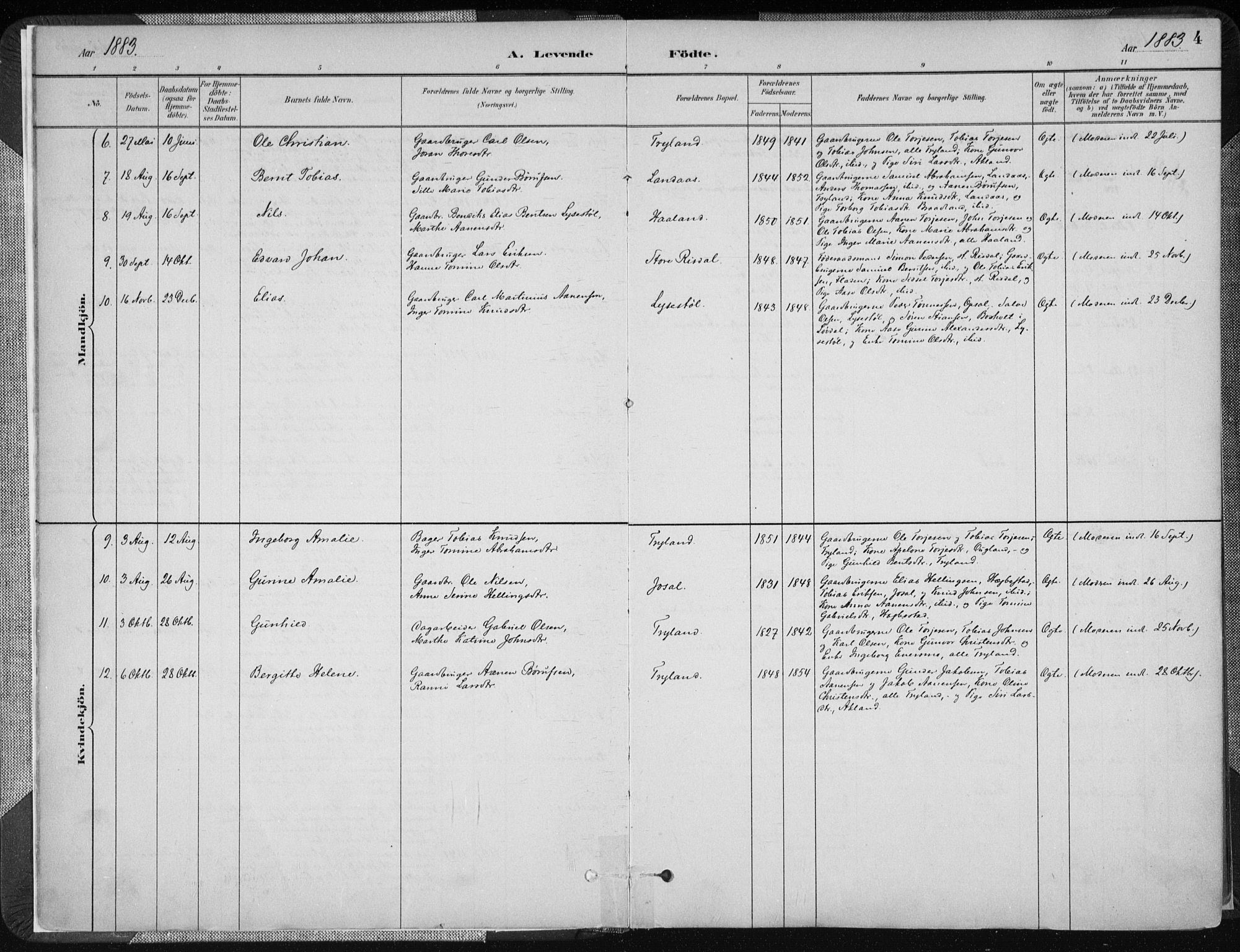 Nord-Audnedal sokneprestkontor, AV/SAK-1111-0032/F/Fa/Fab/L0003: Parish register (official) no. A 3, 1882-1900, p. 4