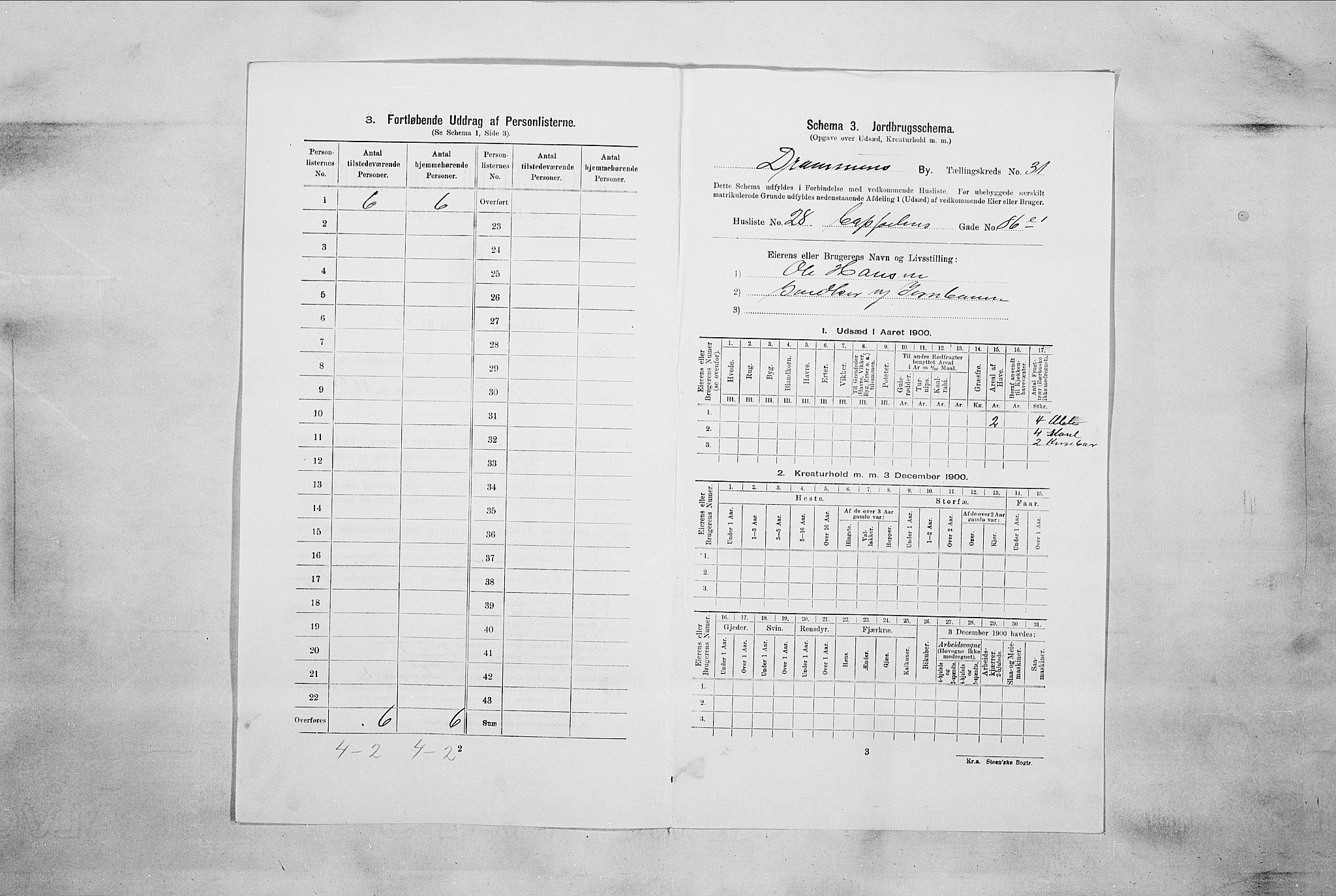 RA, 1900 census for Drammen, 1900, p. 4560