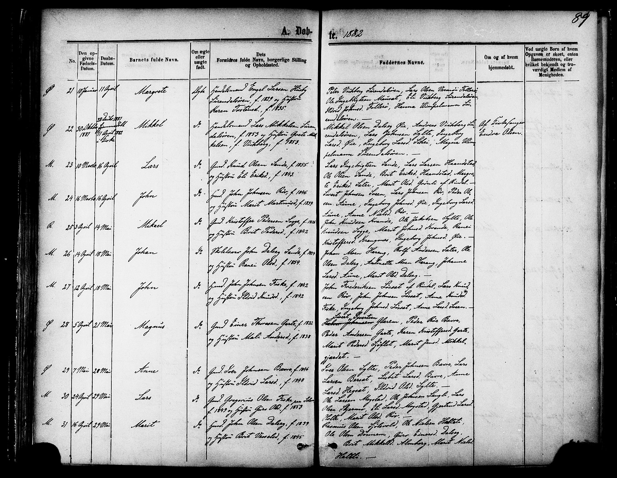 Ministerialprotokoller, klokkerbøker og fødselsregistre - Møre og Romsdal, AV/SAT-A-1454/595/L1046: Parish register (official) no. 595A08, 1874-1884, p. 89