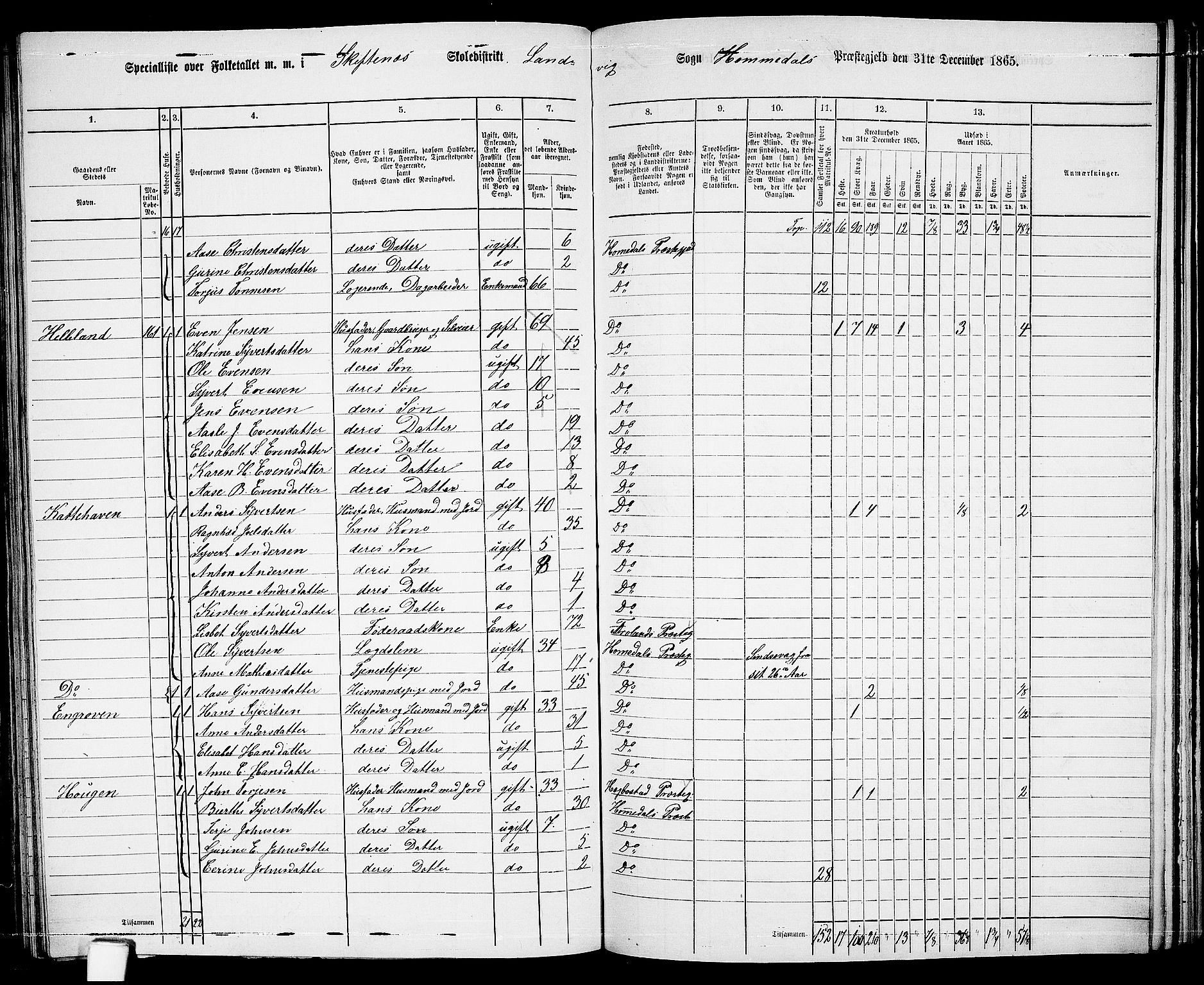 RA, 1865 census for Homedal, 1865, p. 129