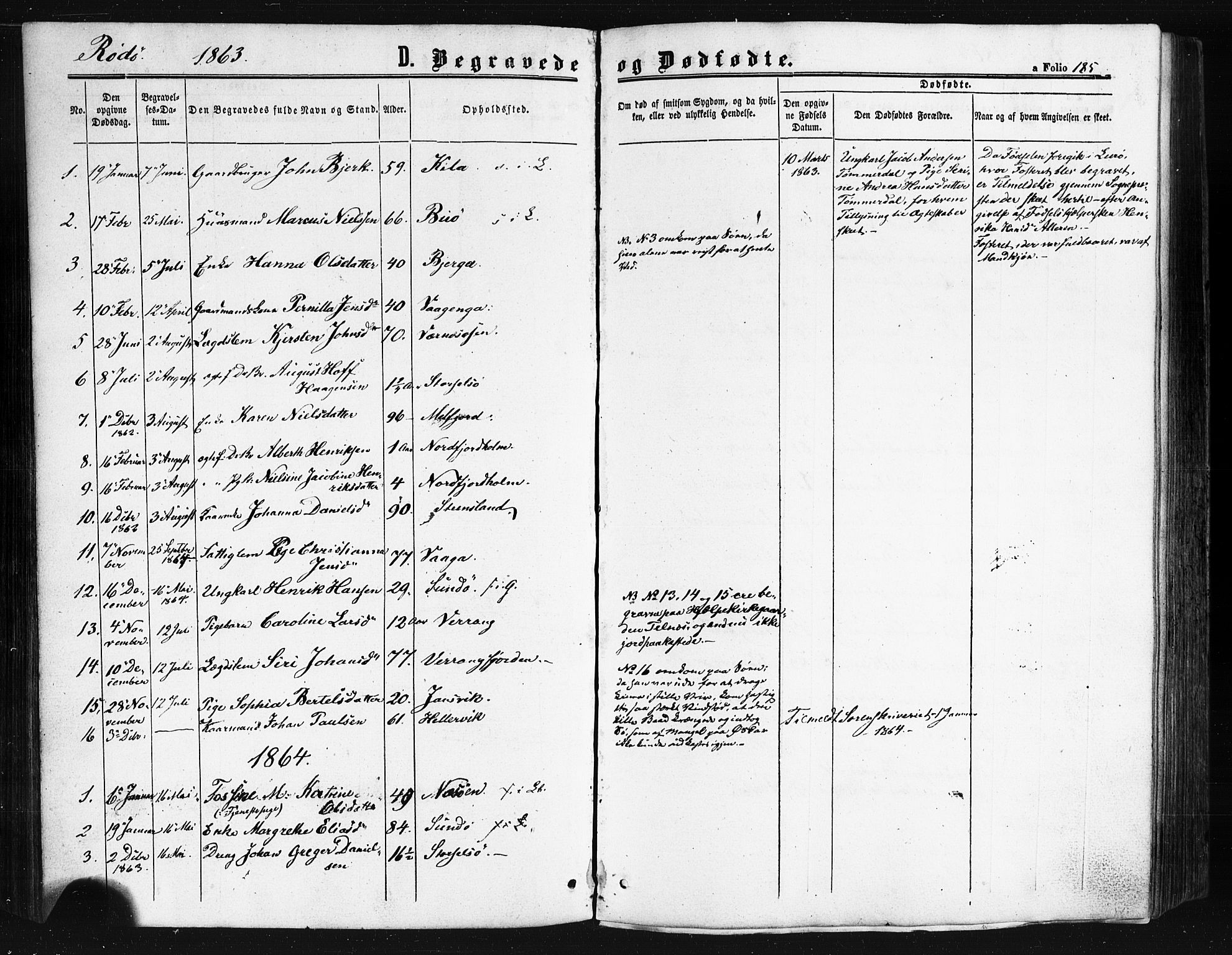 Ministerialprotokoller, klokkerbøker og fødselsregistre - Nordland, SAT/A-1459/841/L0607: Parish register (official) no. 841A11 /1, 1863-1877, p. 185