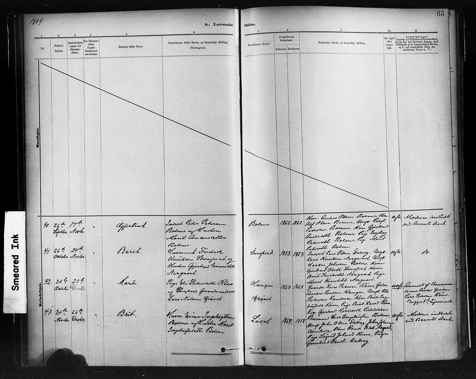 Ministerialprotokoller, klokkerbøker og fødselsregistre - Møre og Romsdal, AV/SAT-A-1454/598/L1069: Parish register (official) no. 598A03, 1882-1895, p. 65