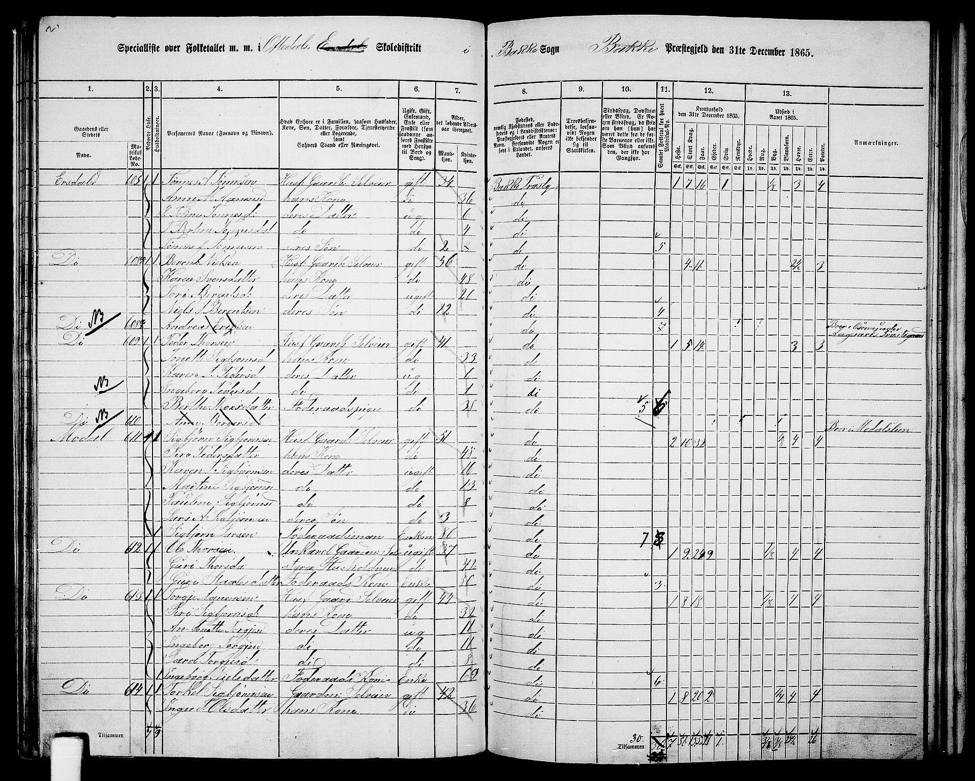 RA, 1865 census for Bakke, 1865, p. 74