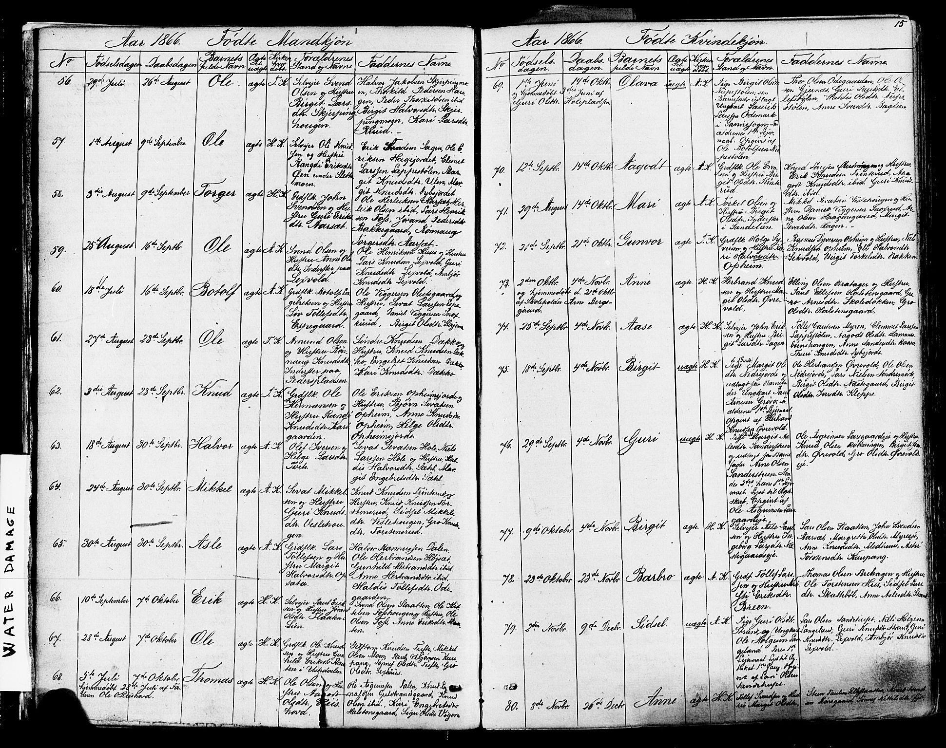 Ål kirkebøker, AV/SAKO-A-249/F/Fa/L0007: Parish register (official) no. I 7, 1865-1881, p. 15