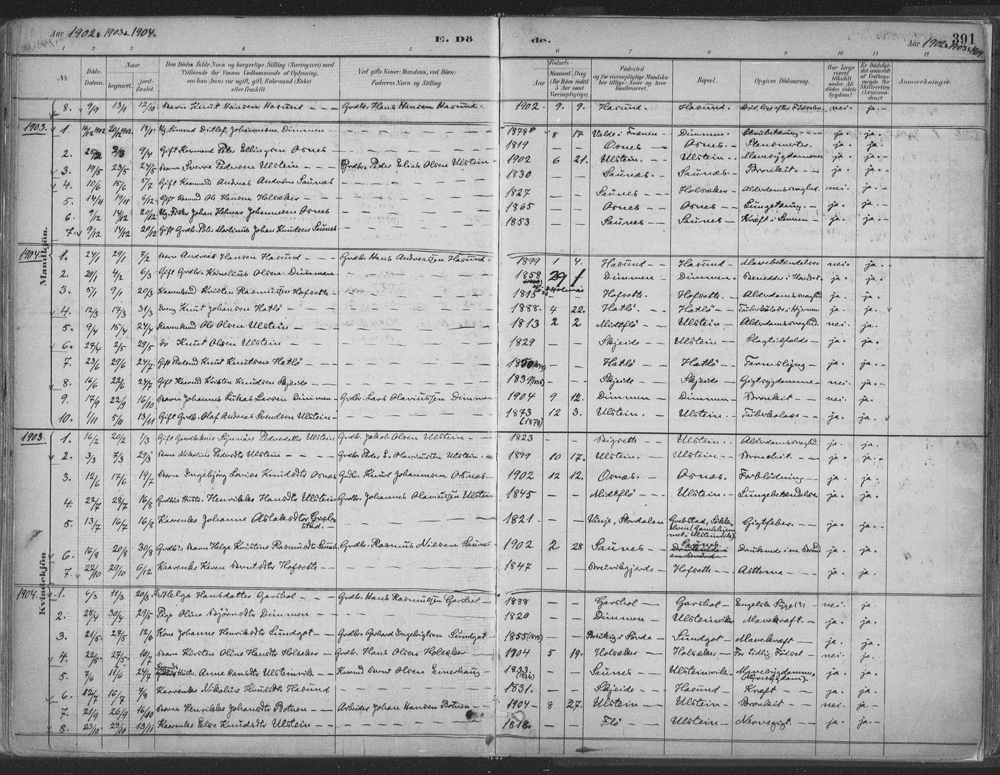 Ministerialprotokoller, klokkerbøker og fødselsregistre - Møre og Romsdal, AV/SAT-A-1454/509/L0106: Parish register (official) no. 509A04, 1883-1922, p. 391