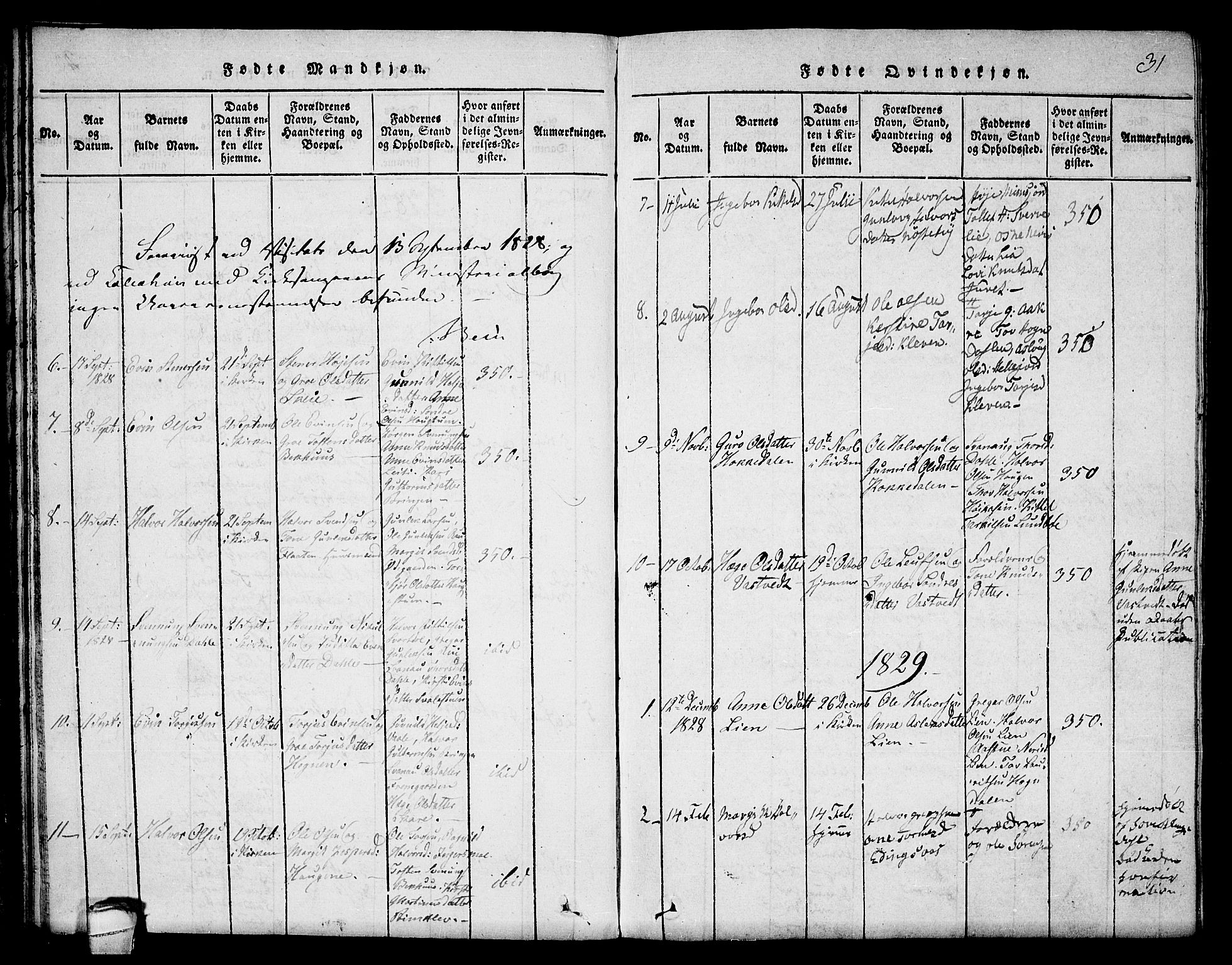 Seljord kirkebøker, SAKO/A-20/F/Fb/L0001: Parish register (official) no. II 1, 1815-1831, p. 31