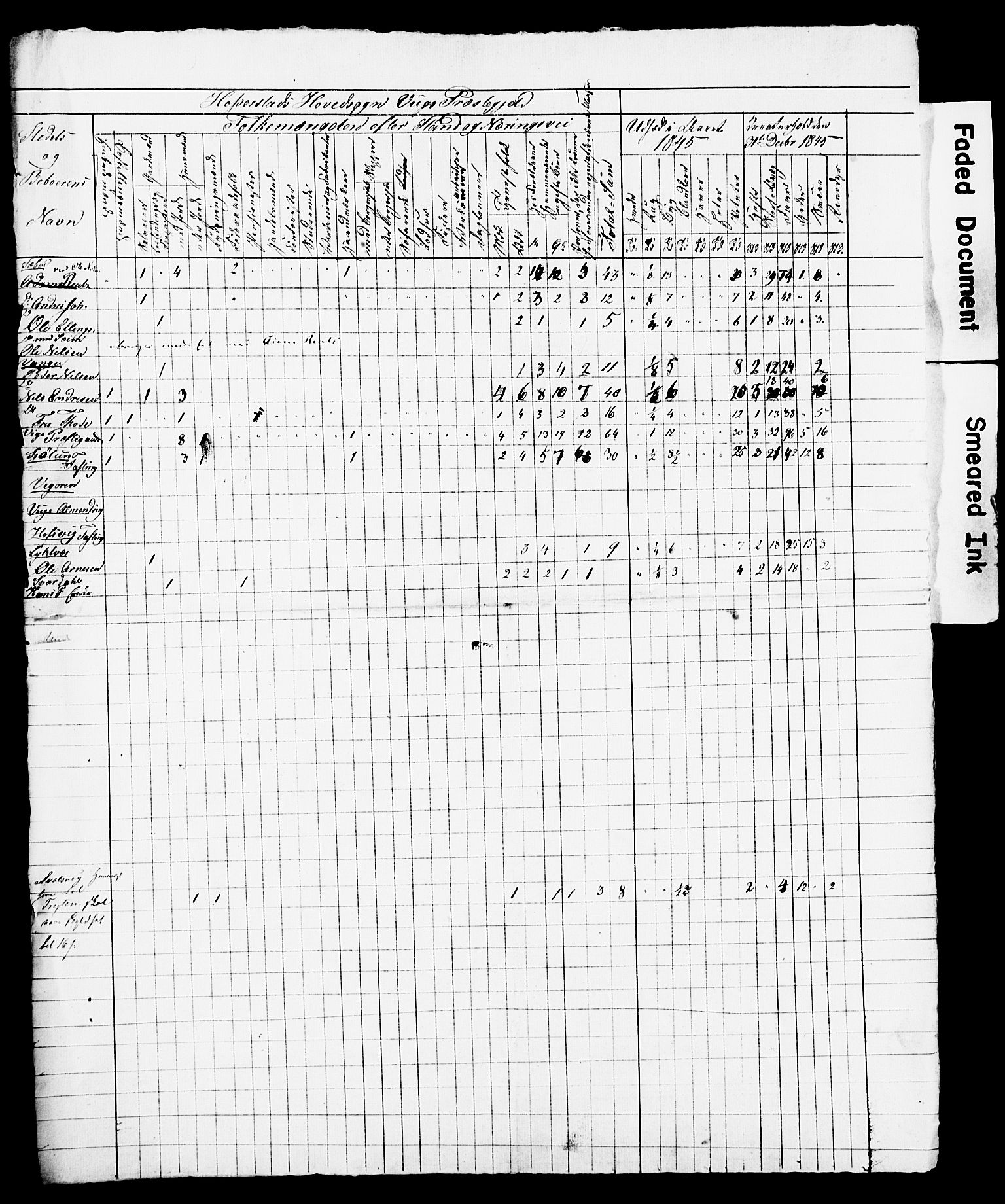 , Census 1845 for Vik, 1845, p. 5