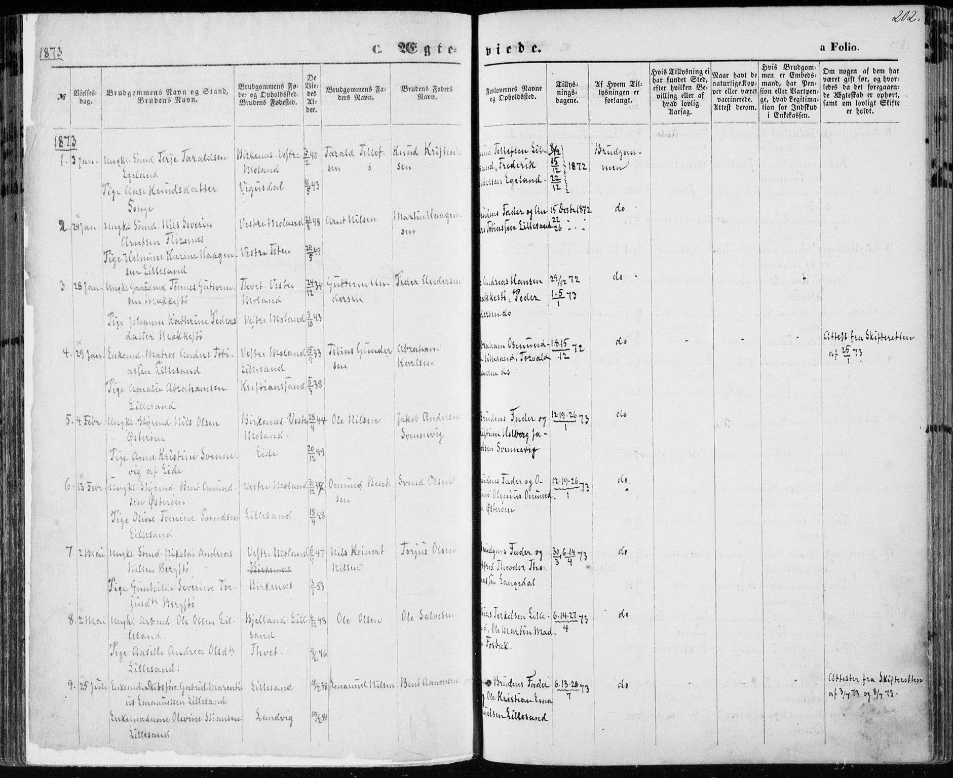 Vestre Moland sokneprestkontor, AV/SAK-1111-0046/F/Fa/Fab/L0008: Parish register (official) no. A 8, 1873-1883, p. 202