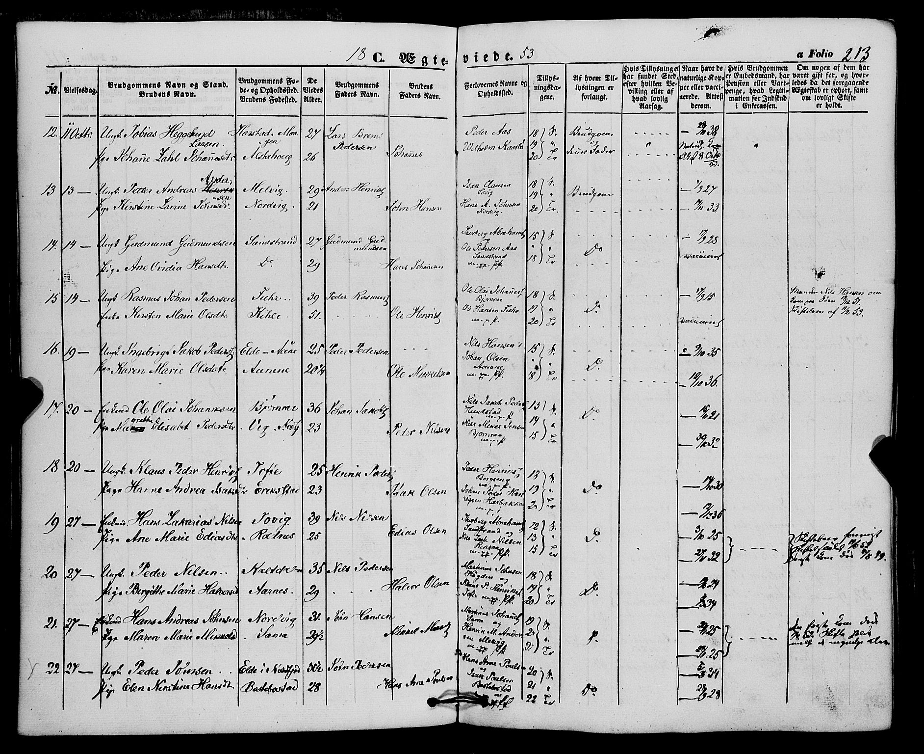 Trondenes sokneprestkontor, SATØ/S-1319/H/Ha/L0011kirke: Parish register (official) no. 11, 1853-1862, p. 213